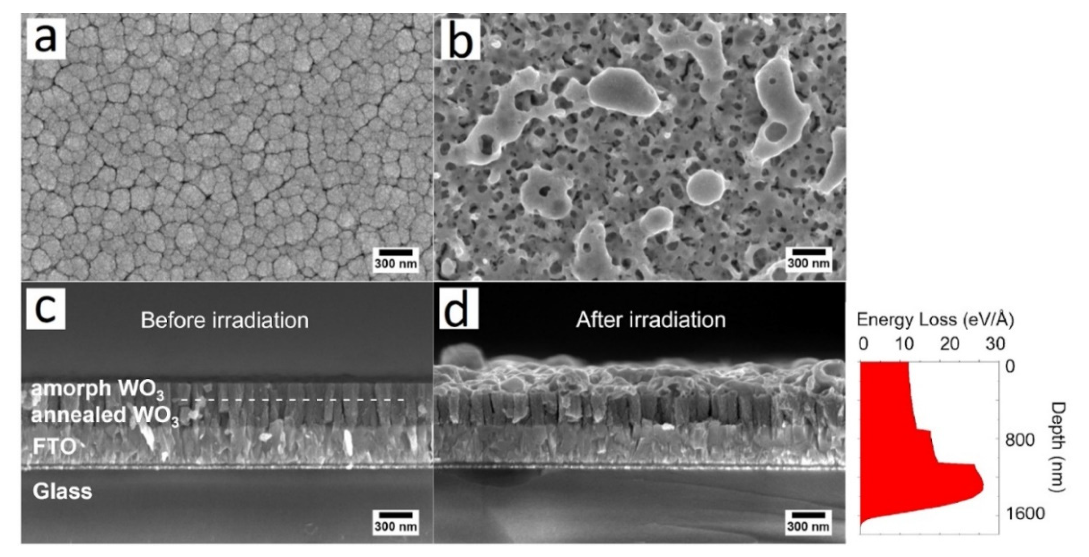 Nanomaterials 12 02639 g002