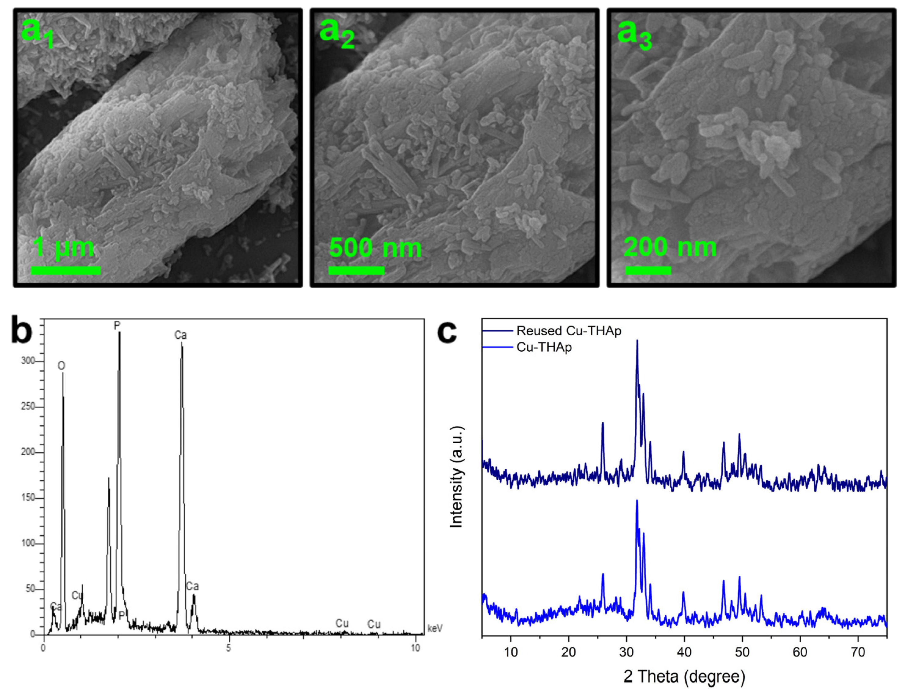 Nanomaterials 12 02650 g005 550