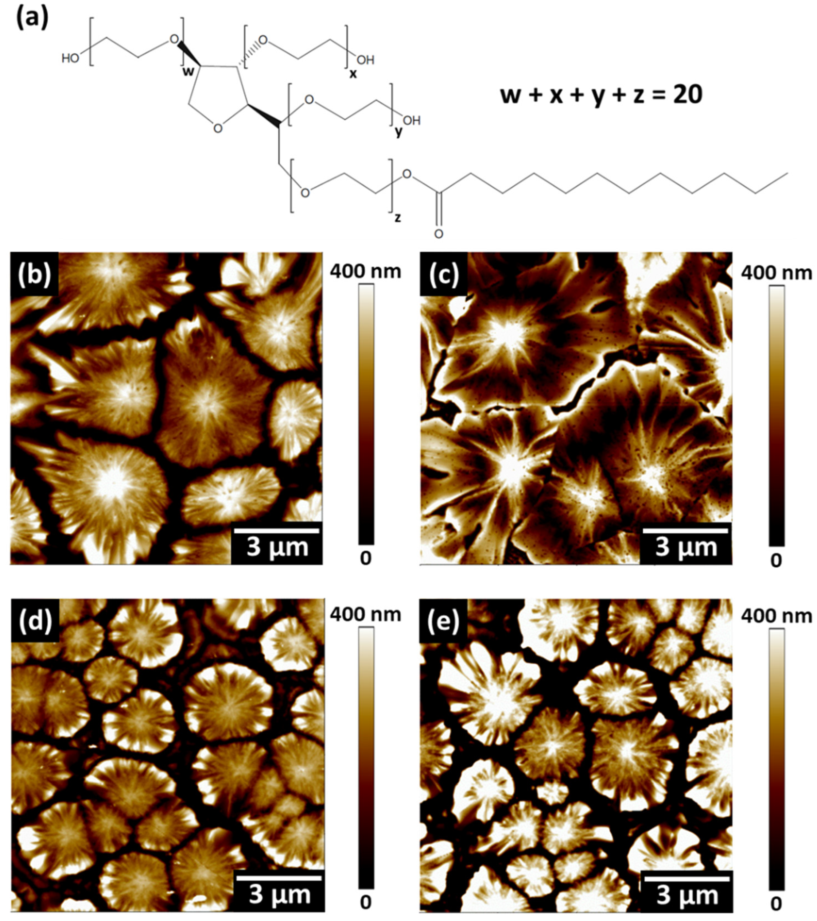 Nanomaterials 12 02651 g001