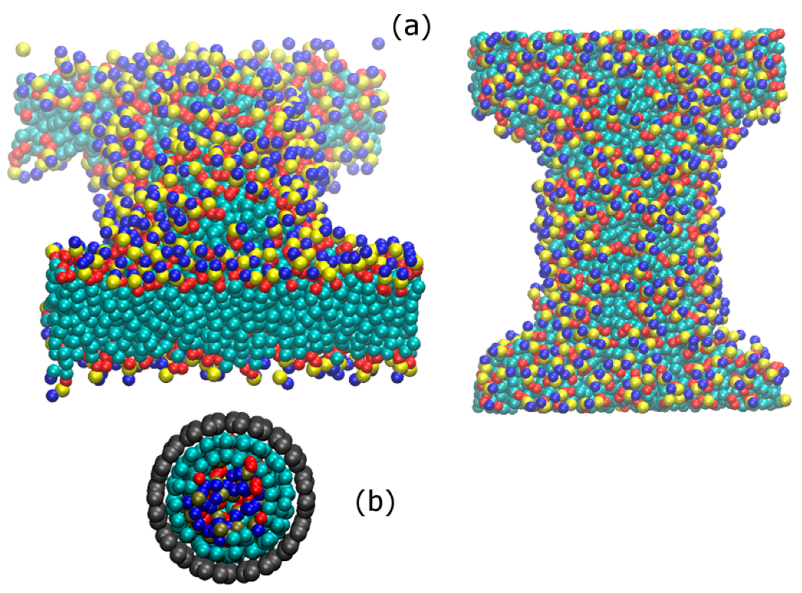 Nanomaterials 12 02653 g004