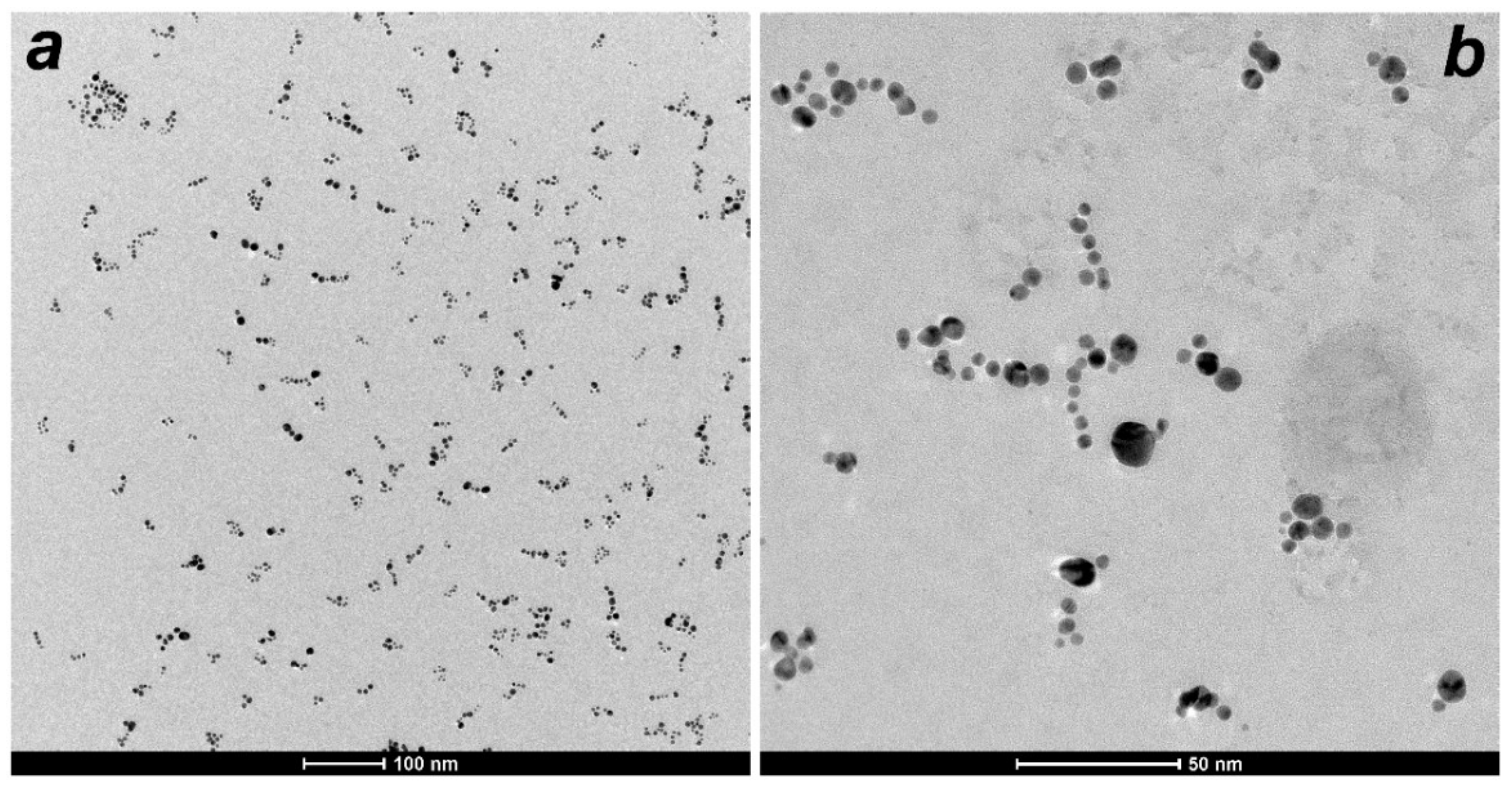 Nanomaterials 12 02655 g002 Nanomaterials 12 02655 g002