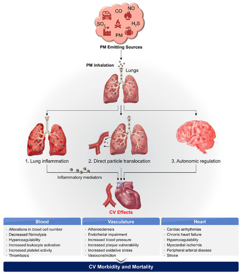 Short-term PM2.5 exposure and cognitive function: Association and  neurophysiological mechanisms - ScienceDirect