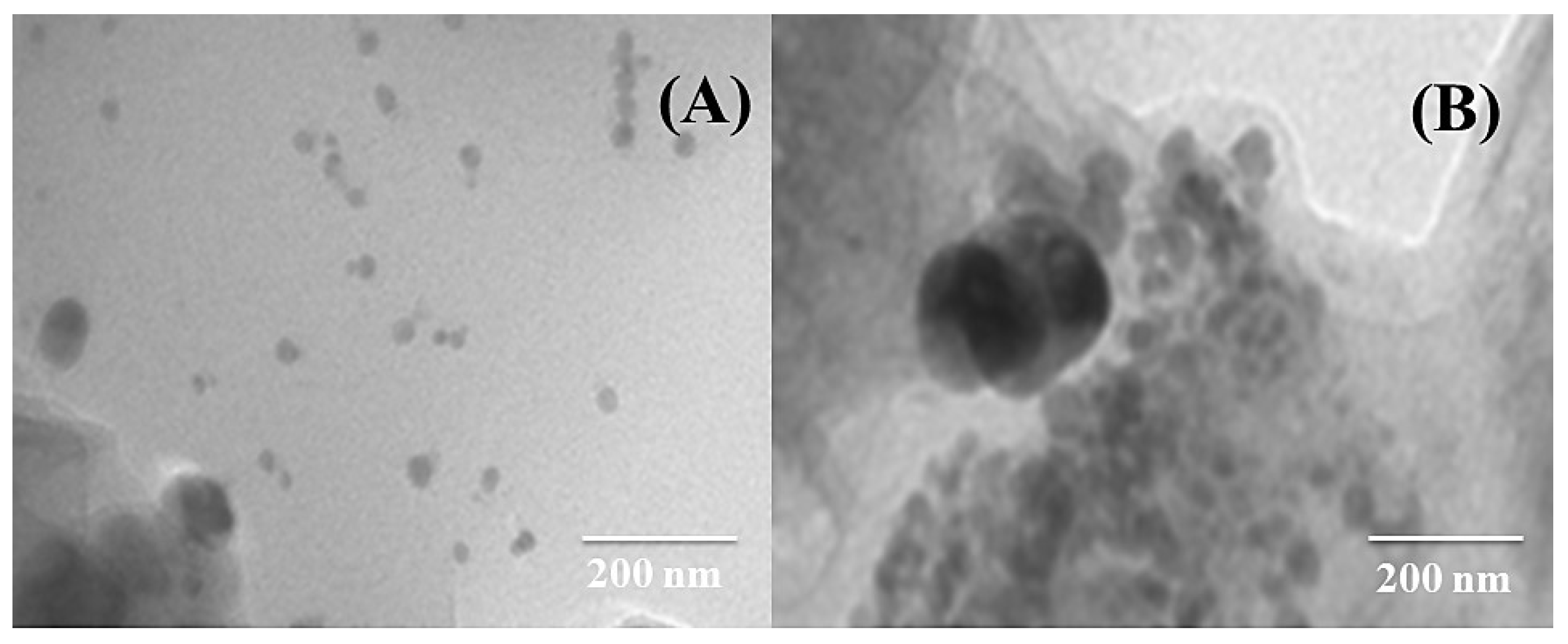 Nanomaterials 12 02657 g002