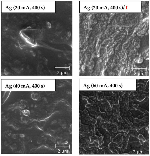 Antibacterial Properties of Silver Nanoclusters with Carbon Support on