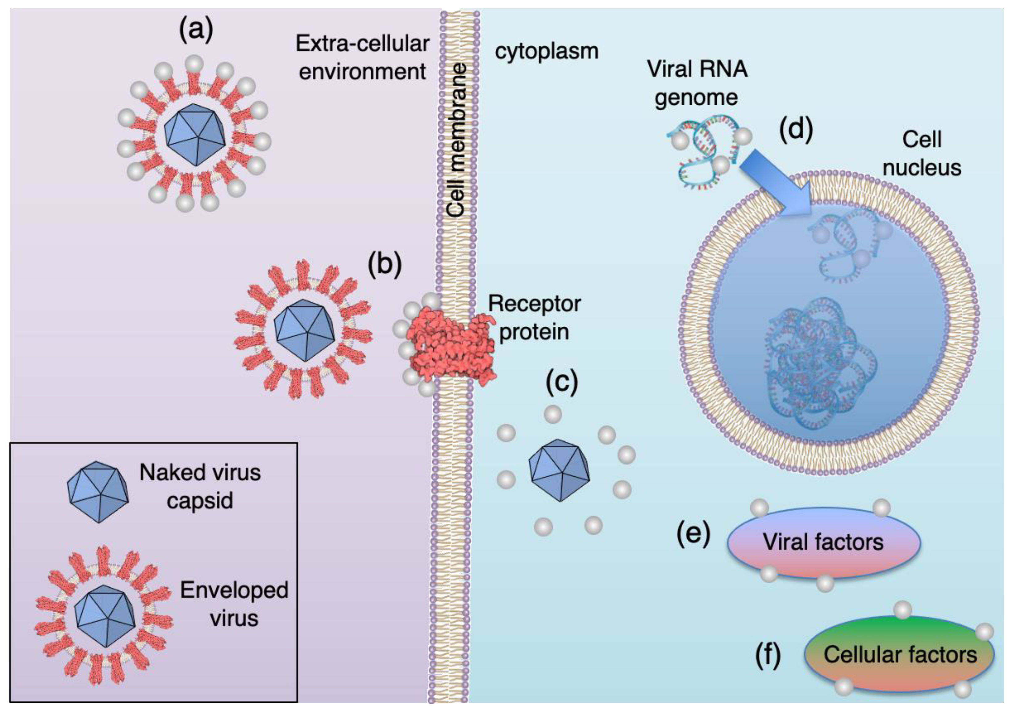 Nanomaterials 12 02662 g001 550