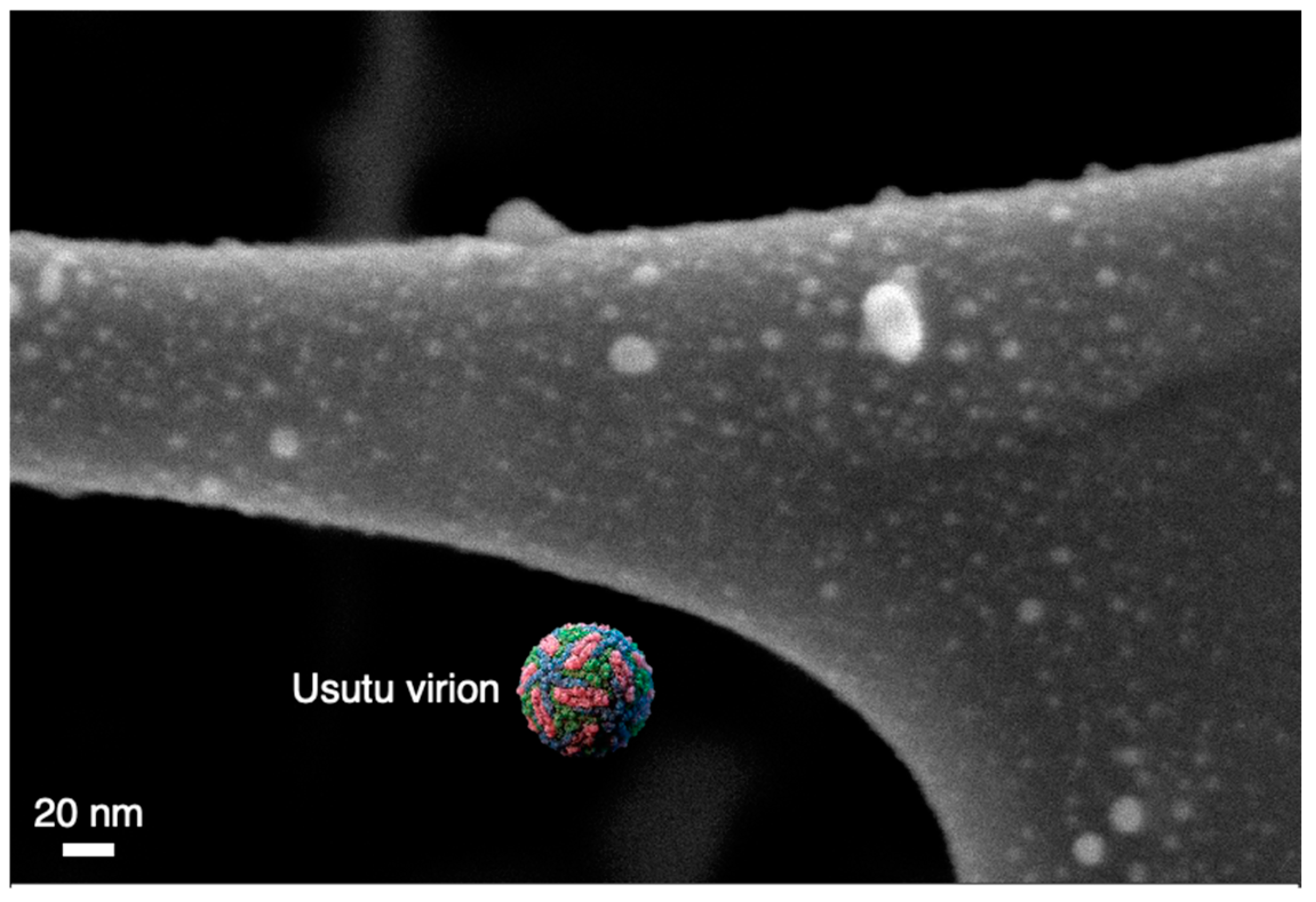 Nanomaterials 12 02662 g006 550