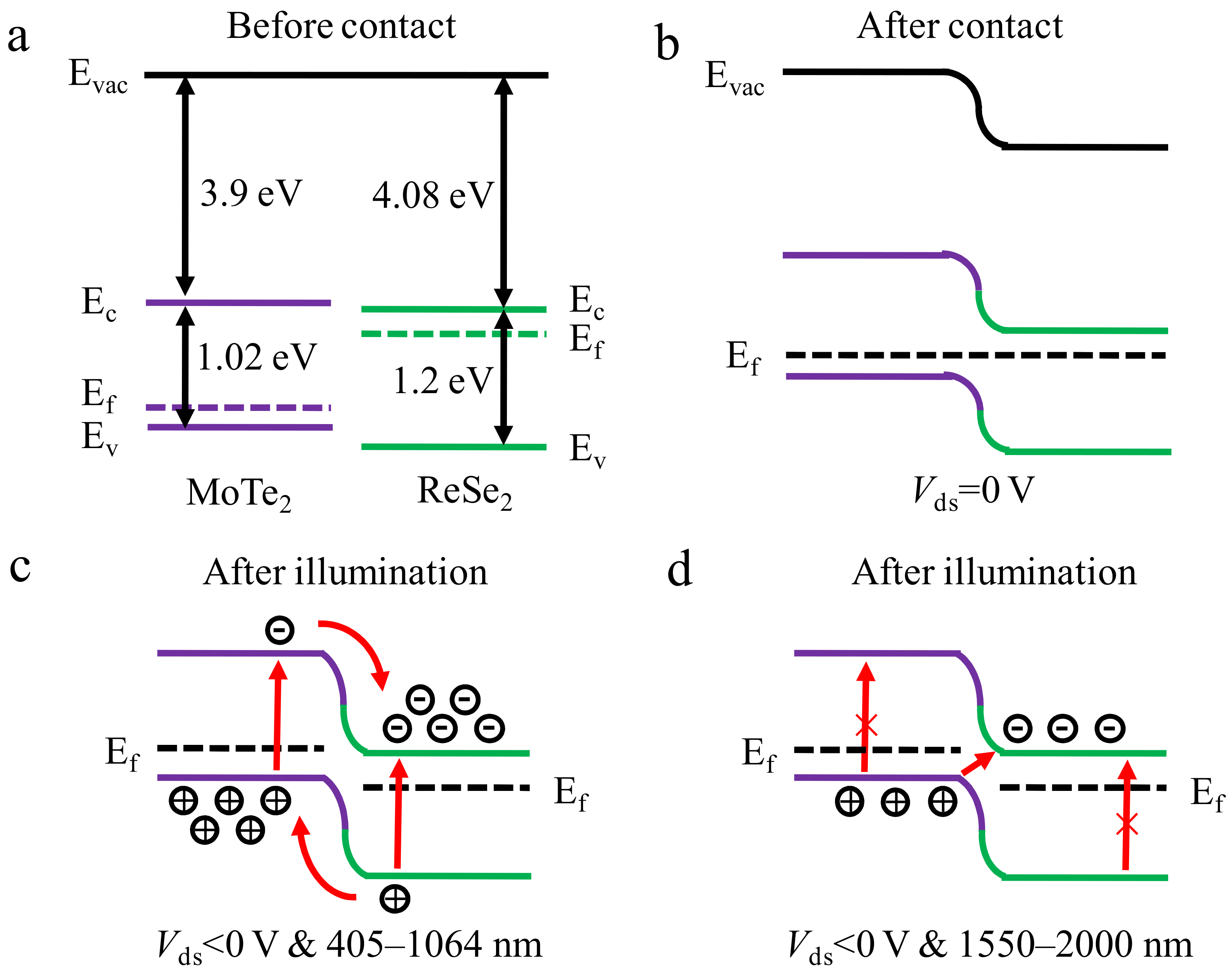 Nanomaterials 12 02664 g004
