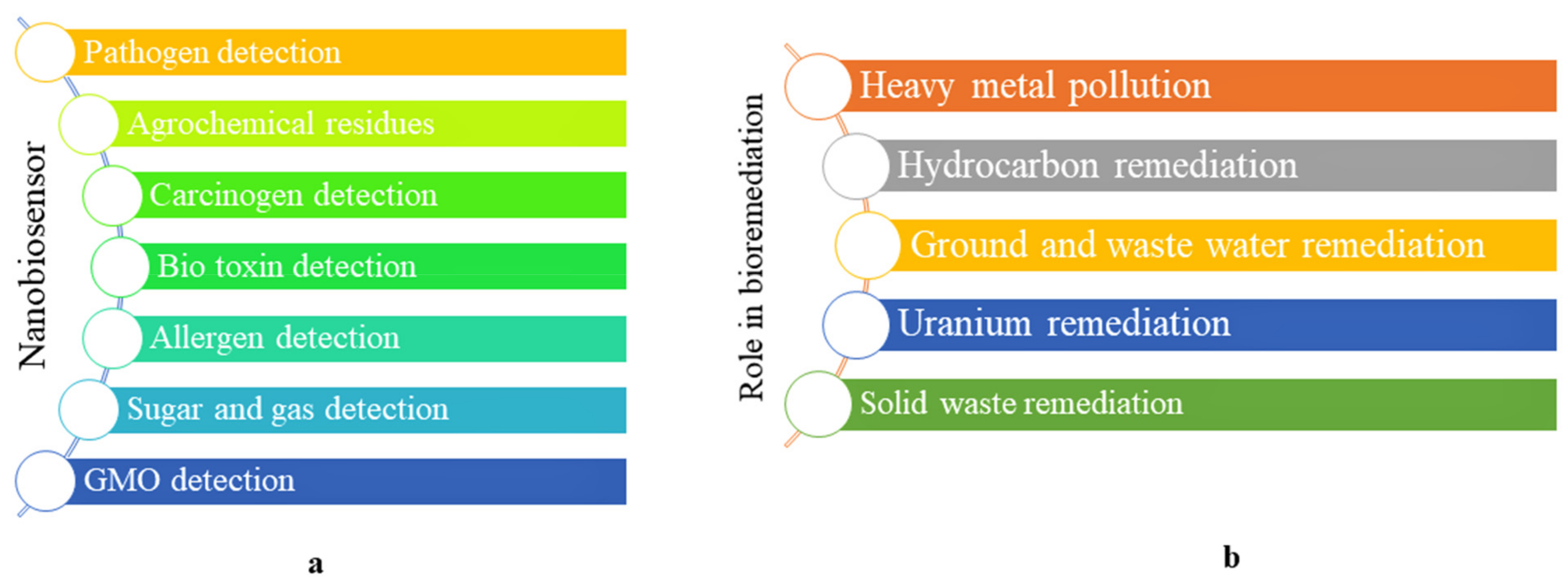 Nanomaterials 12 02667 g006