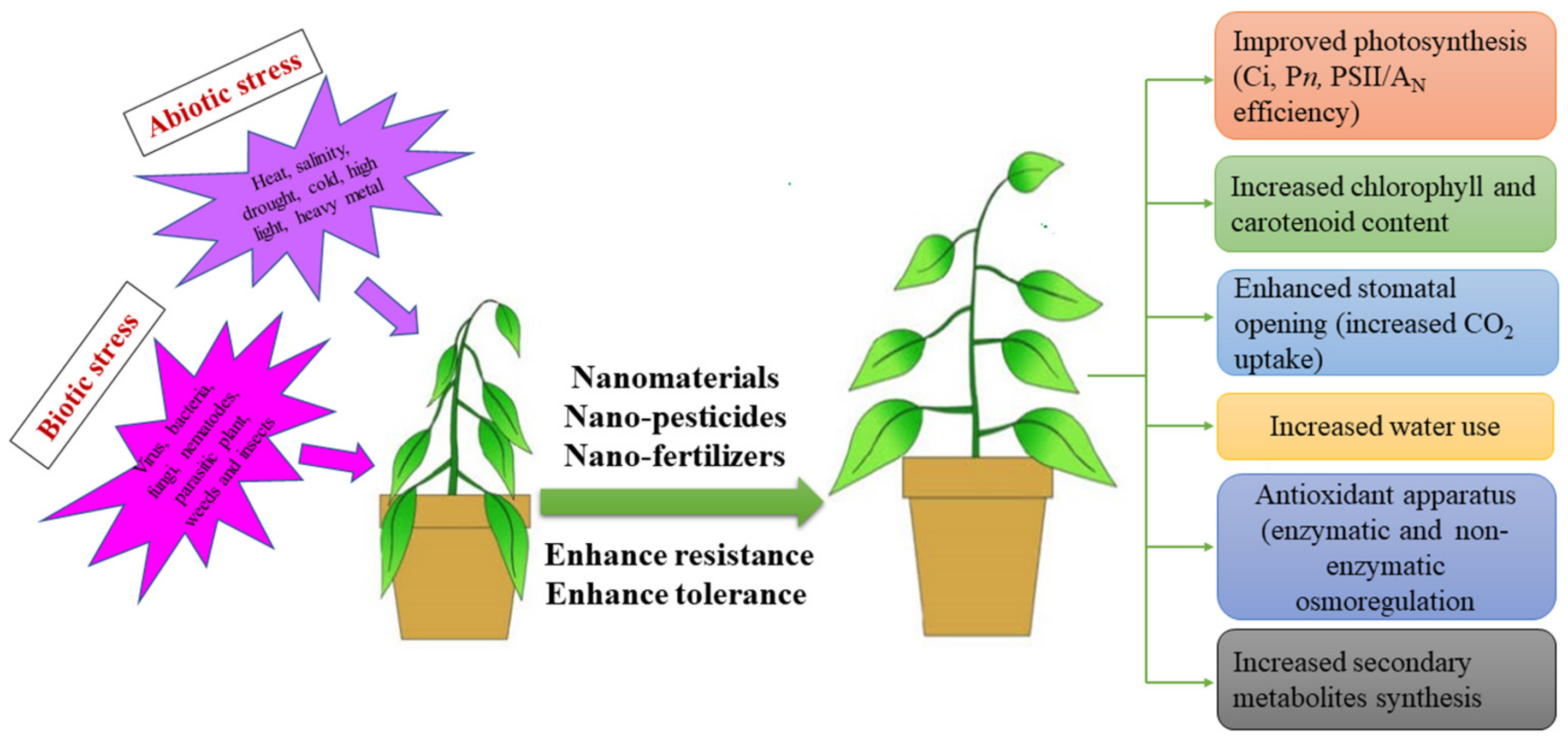 Nanomaterials 12 02667 g007
