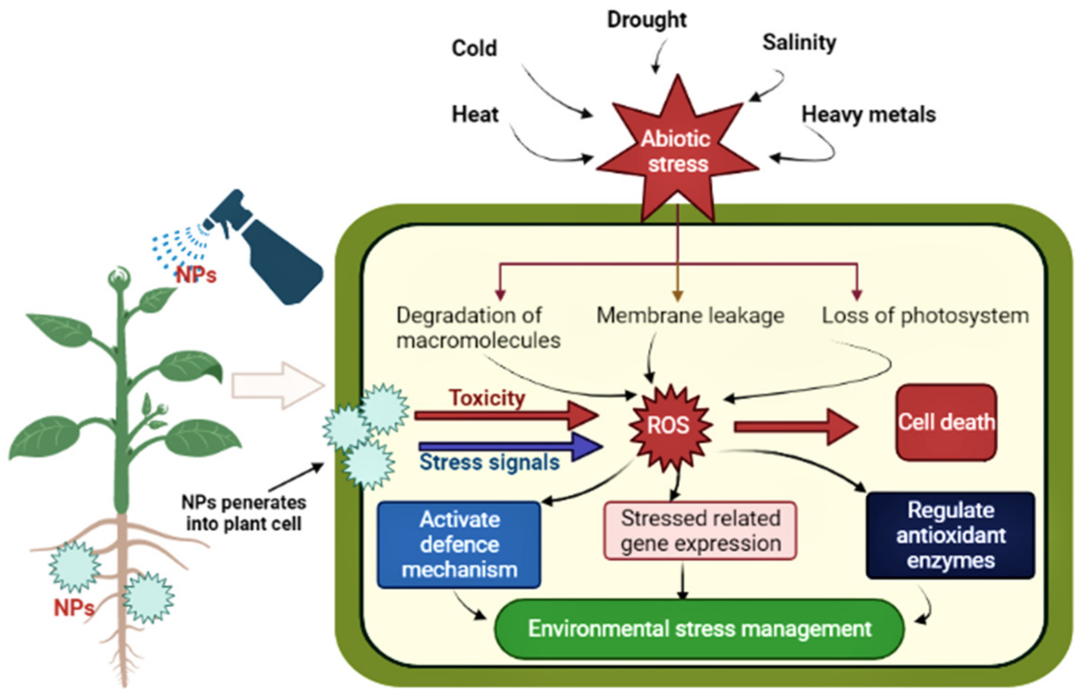 Nanomaterials 12 02667 g008