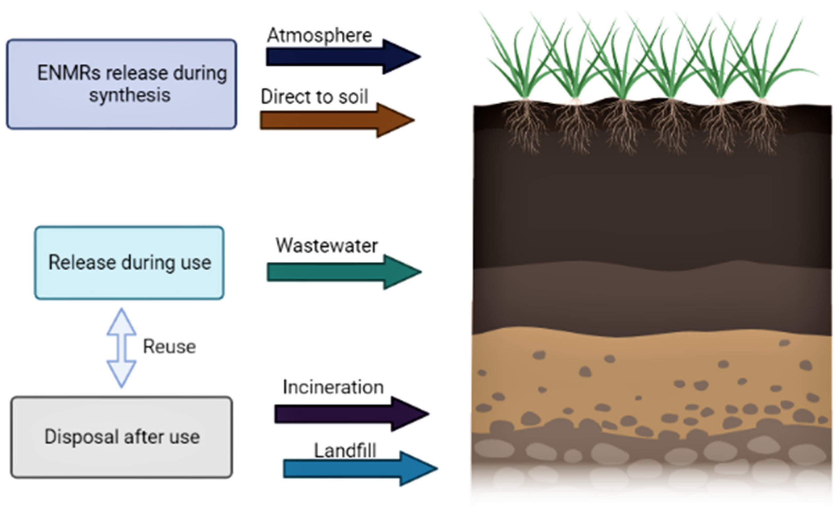 Nanomaterials 12 02667 g009
