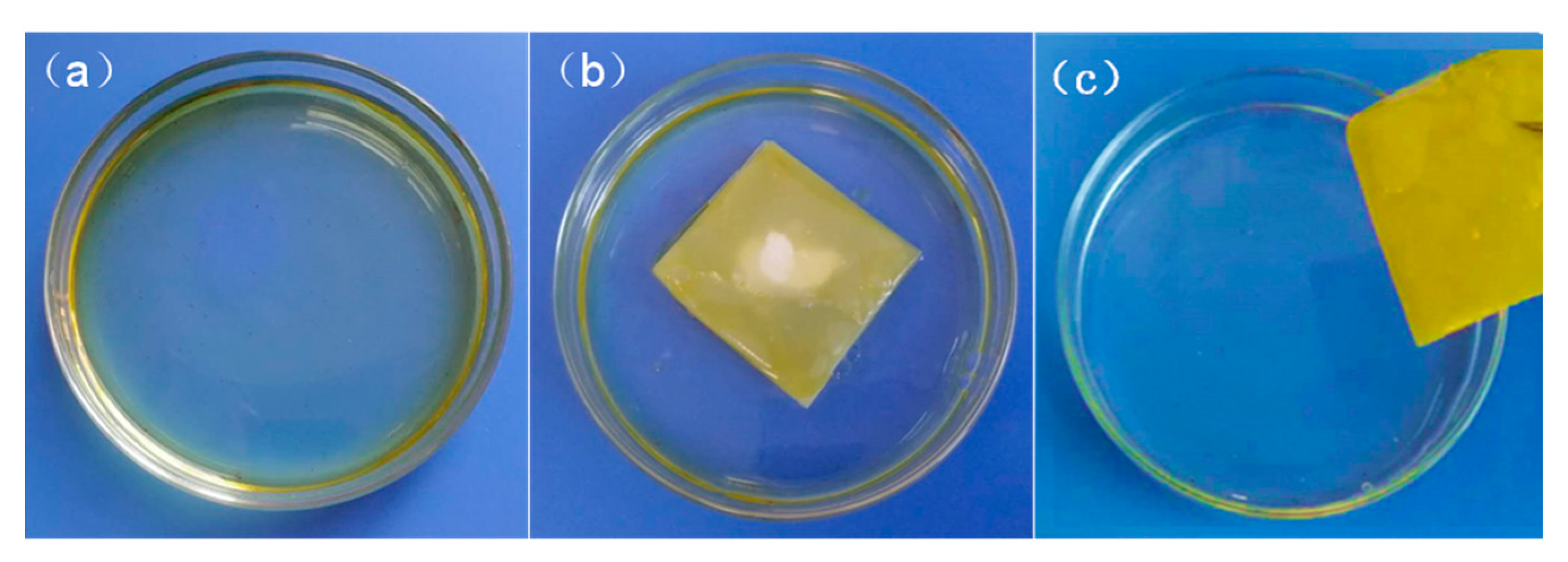 Nanomaterials 12 02670 g012