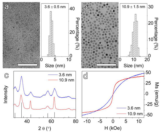 Effects of PEG Chain Length on Relaxometric Properties of