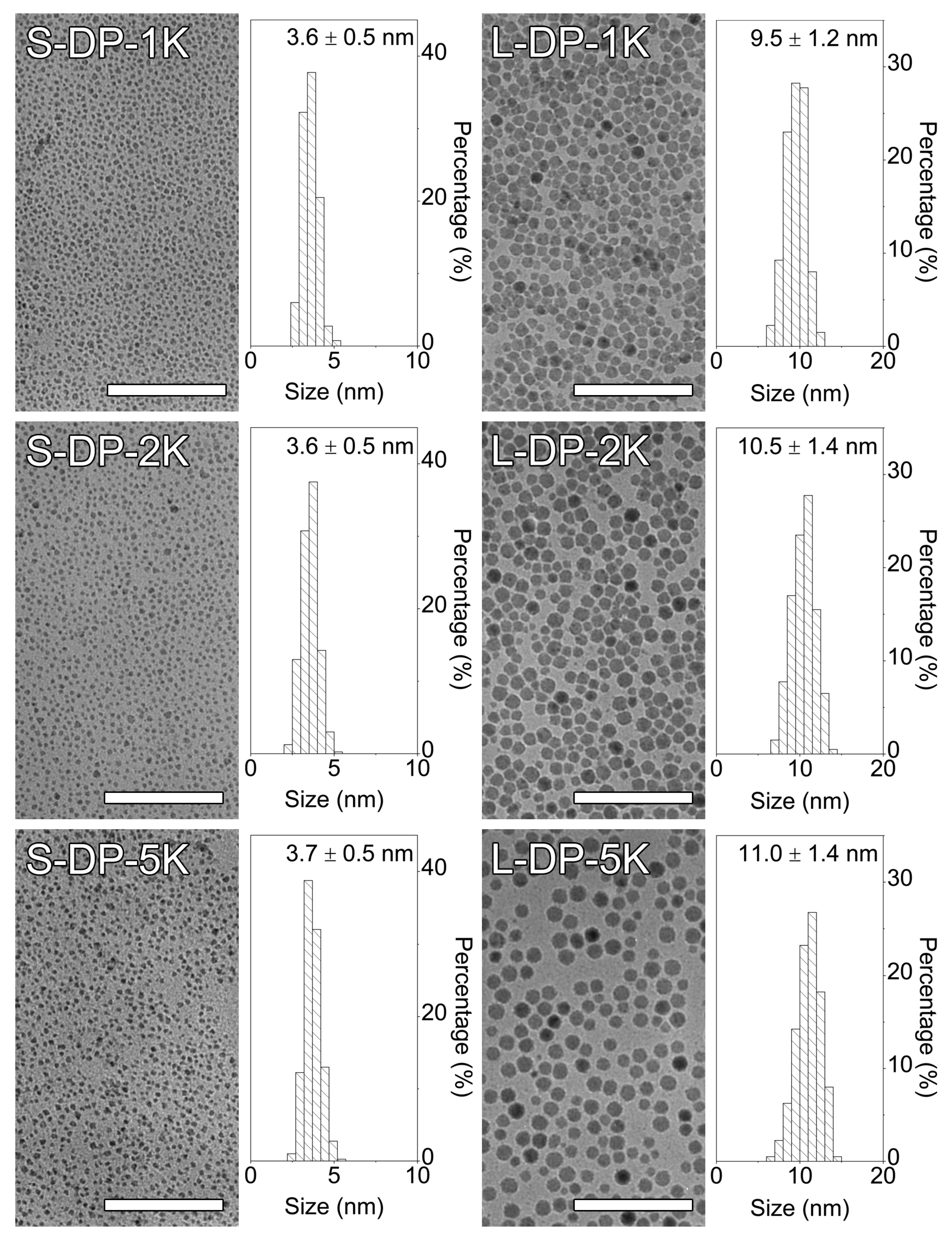 Nanomaterials 12 02673 g002