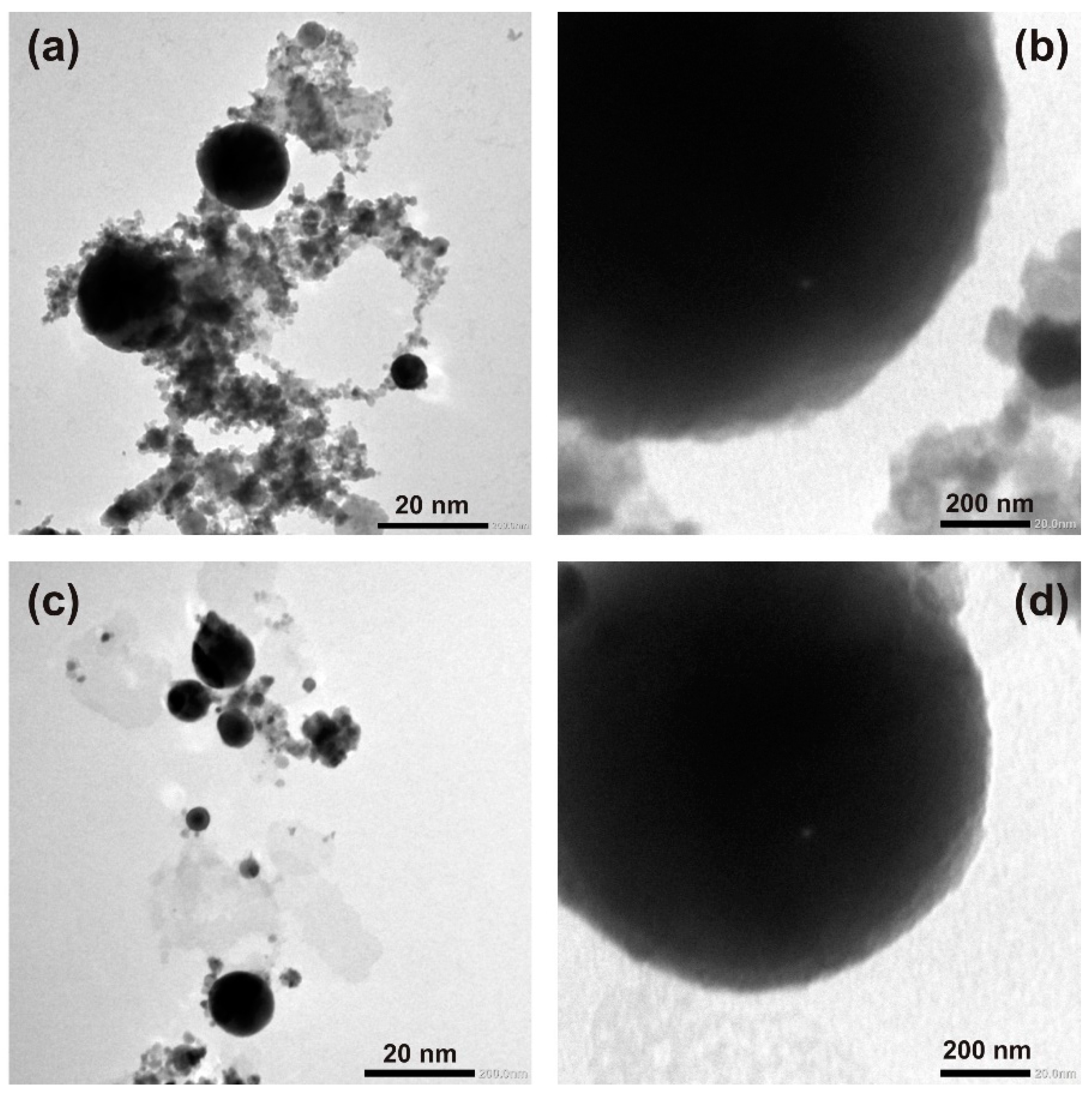Nanomaterials 12 02677 g003 550