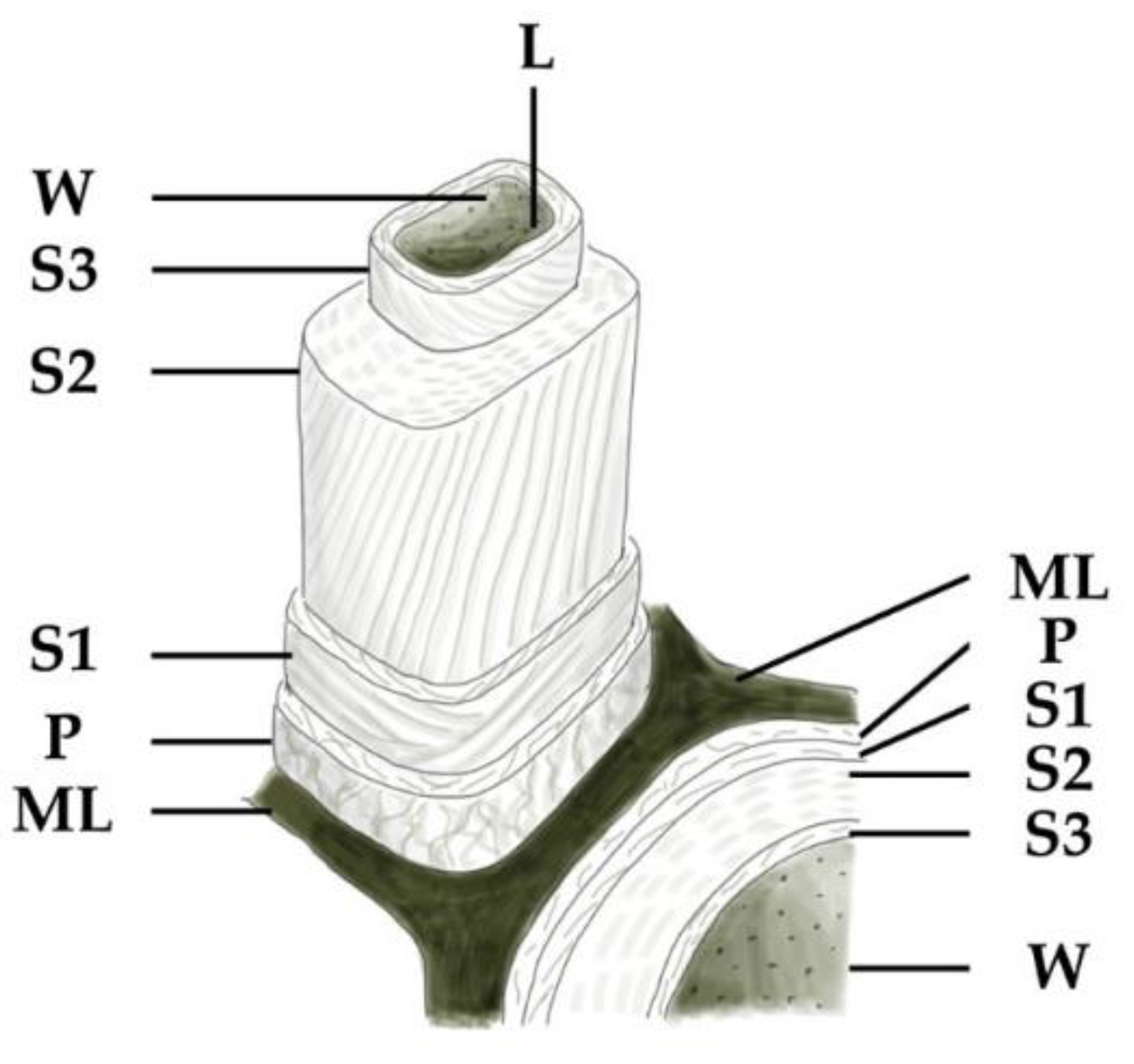 Nanomaterials 12 02678 g001 Nanomaterials 12 02678 g001