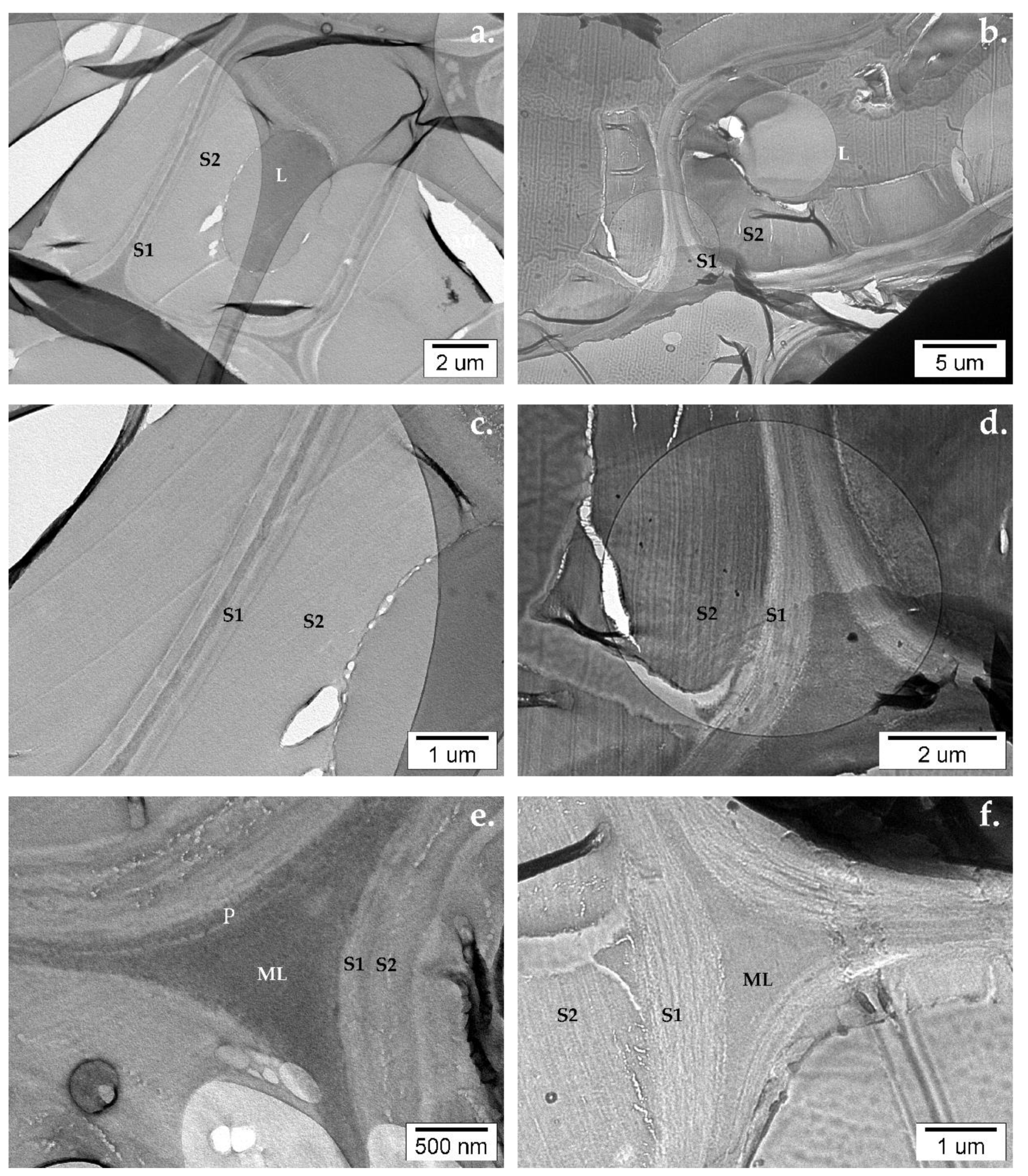 Nanomaterials 12 02678 g016 Nanomaterials 12 02678 g016