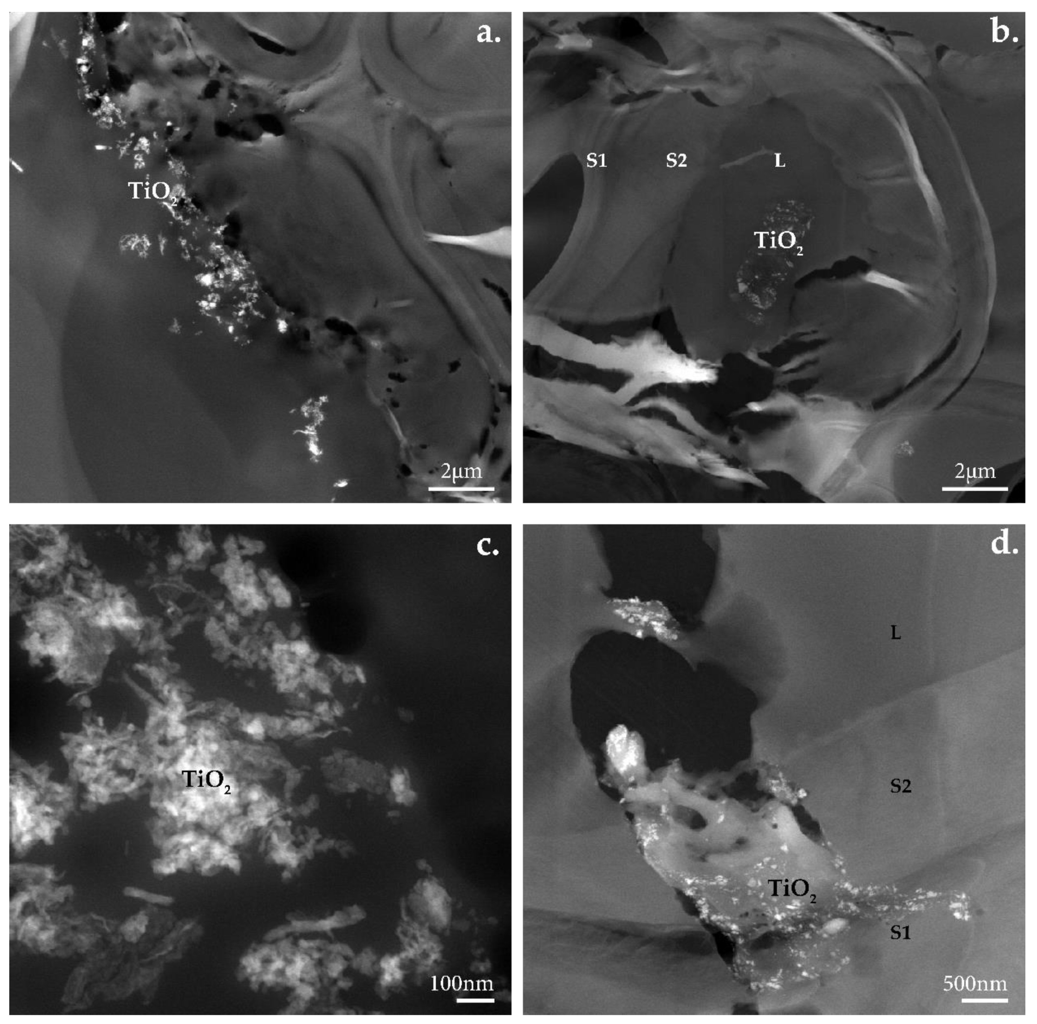 Nanomaterials 12 02678 g017 Nanomaterials 12 02678 g017