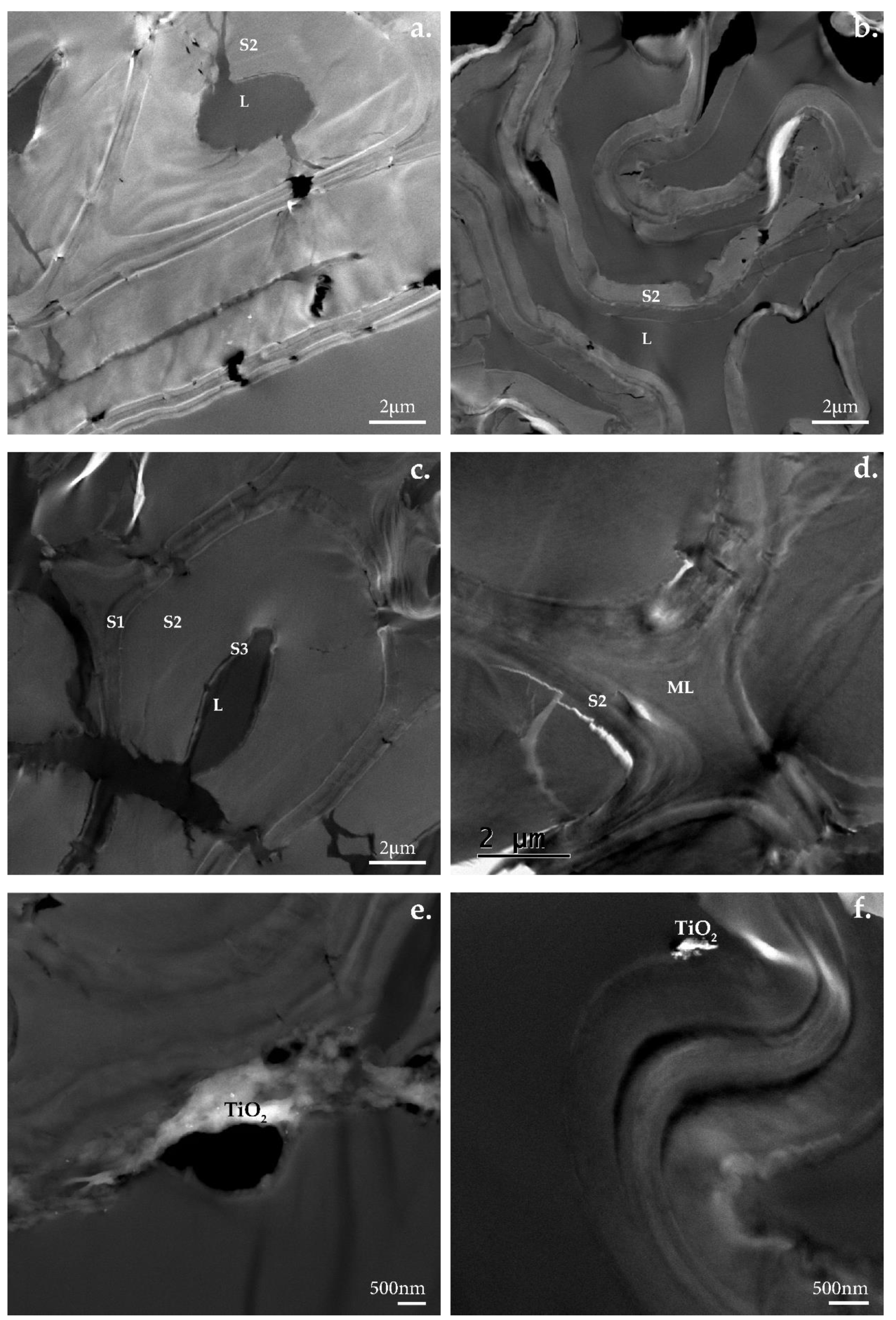 Nanomaterials 12 02678 g018 Nanomaterials 12 02678 g018