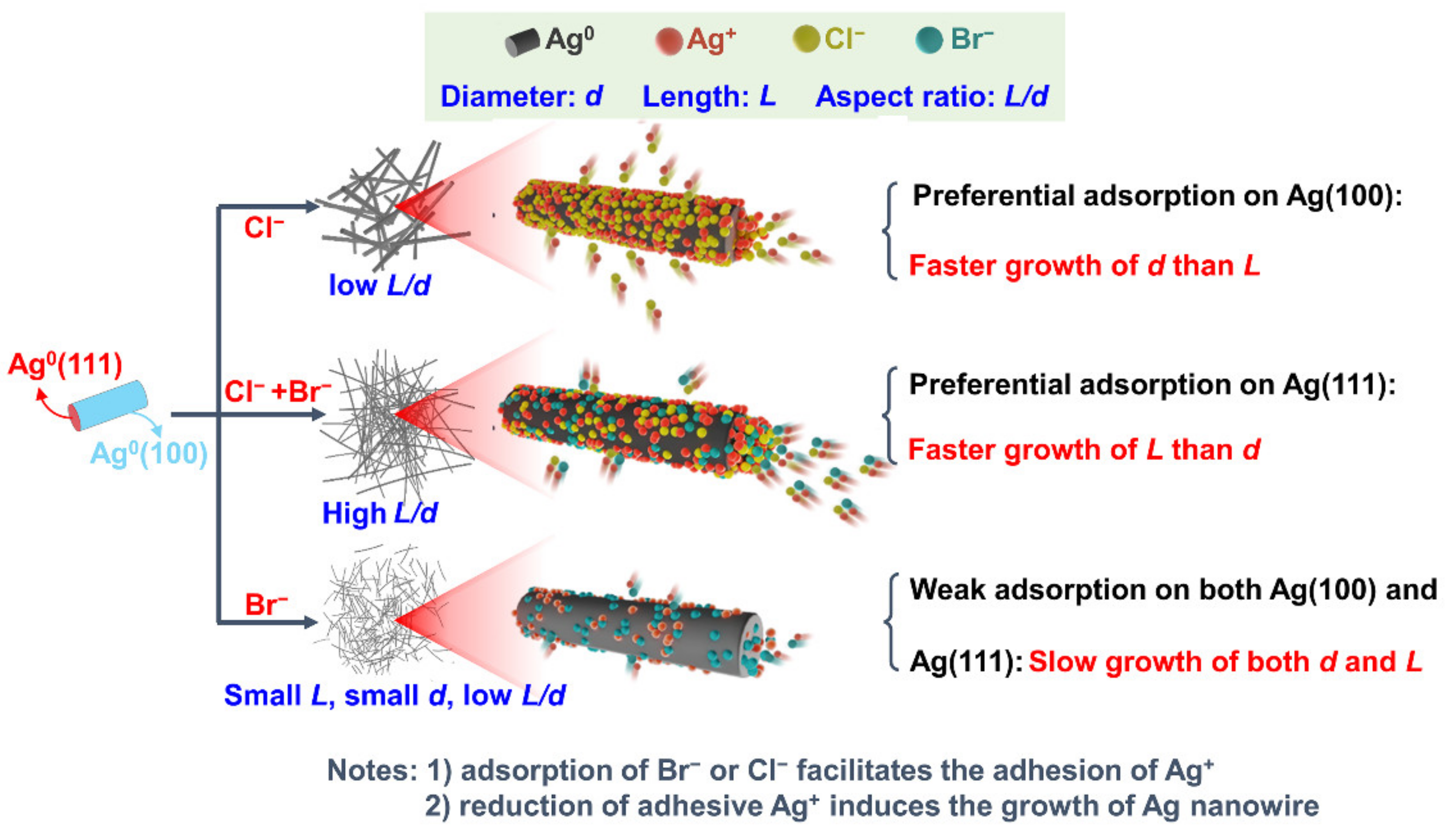 Mechanism Understanding for Size Regulation of Silver Mechanism Understanding for Size Regulation of Silver