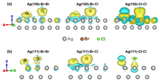 ユウ様 Mechanism Understanding for Size Regulation of Silver