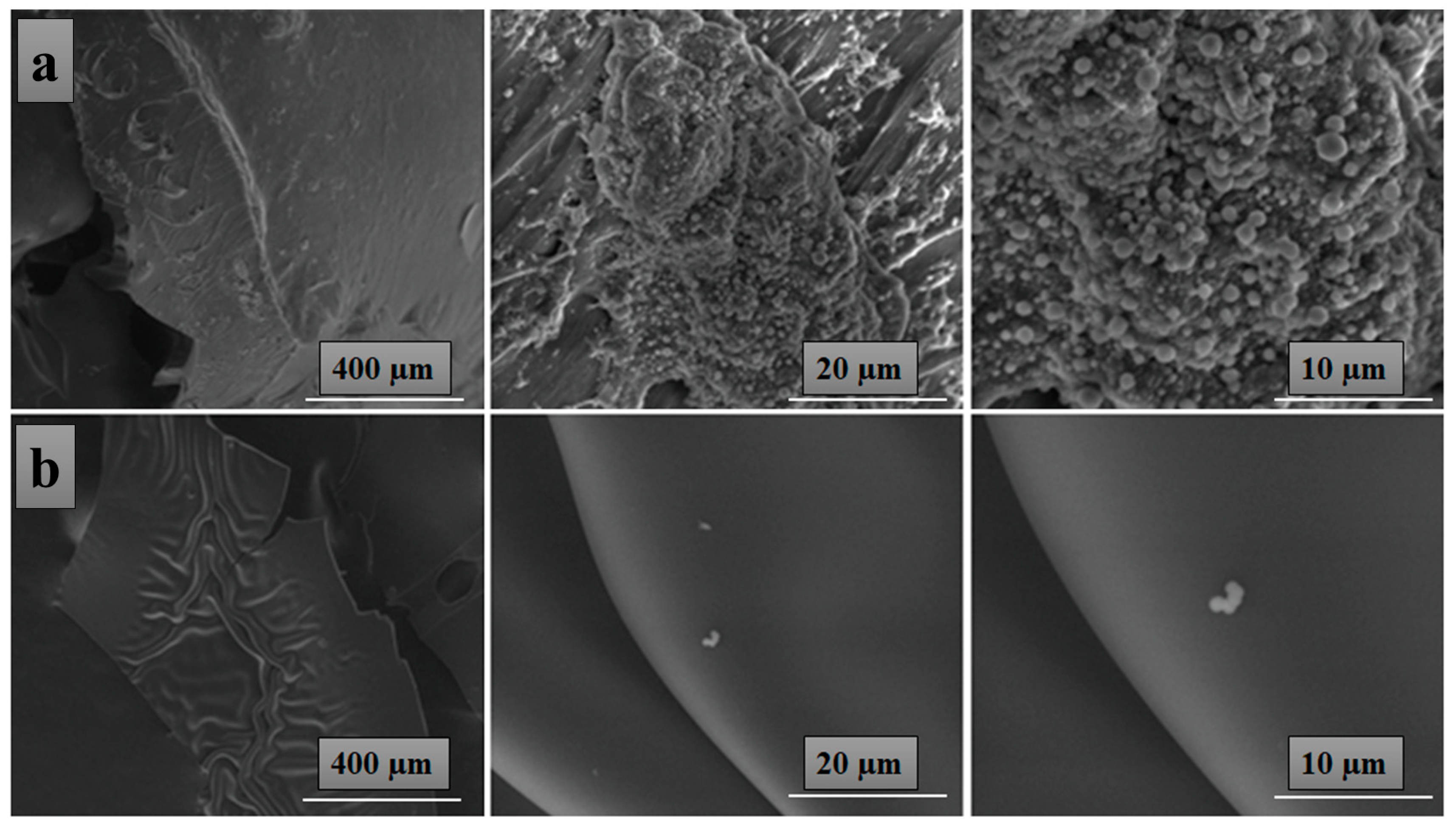 Nanomaterials 12 02685 g005 Nanomaterials 12 02685 g005