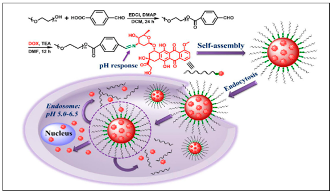 Nanomaterials 12 02688 g002 Nanomaterials 12 02688 g002