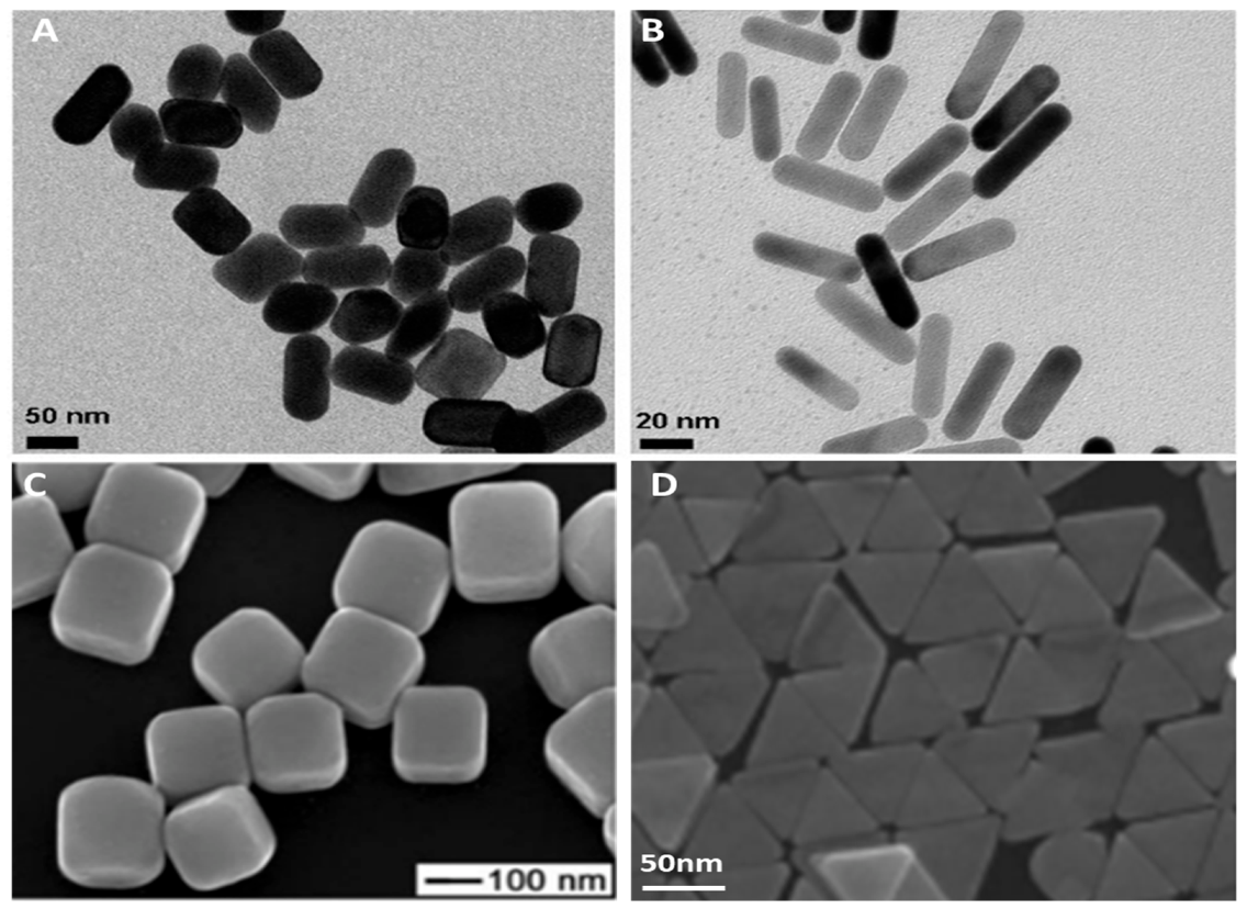 Nanomaterials 12 02688 g004 Nanomaterials 12 02688 g004