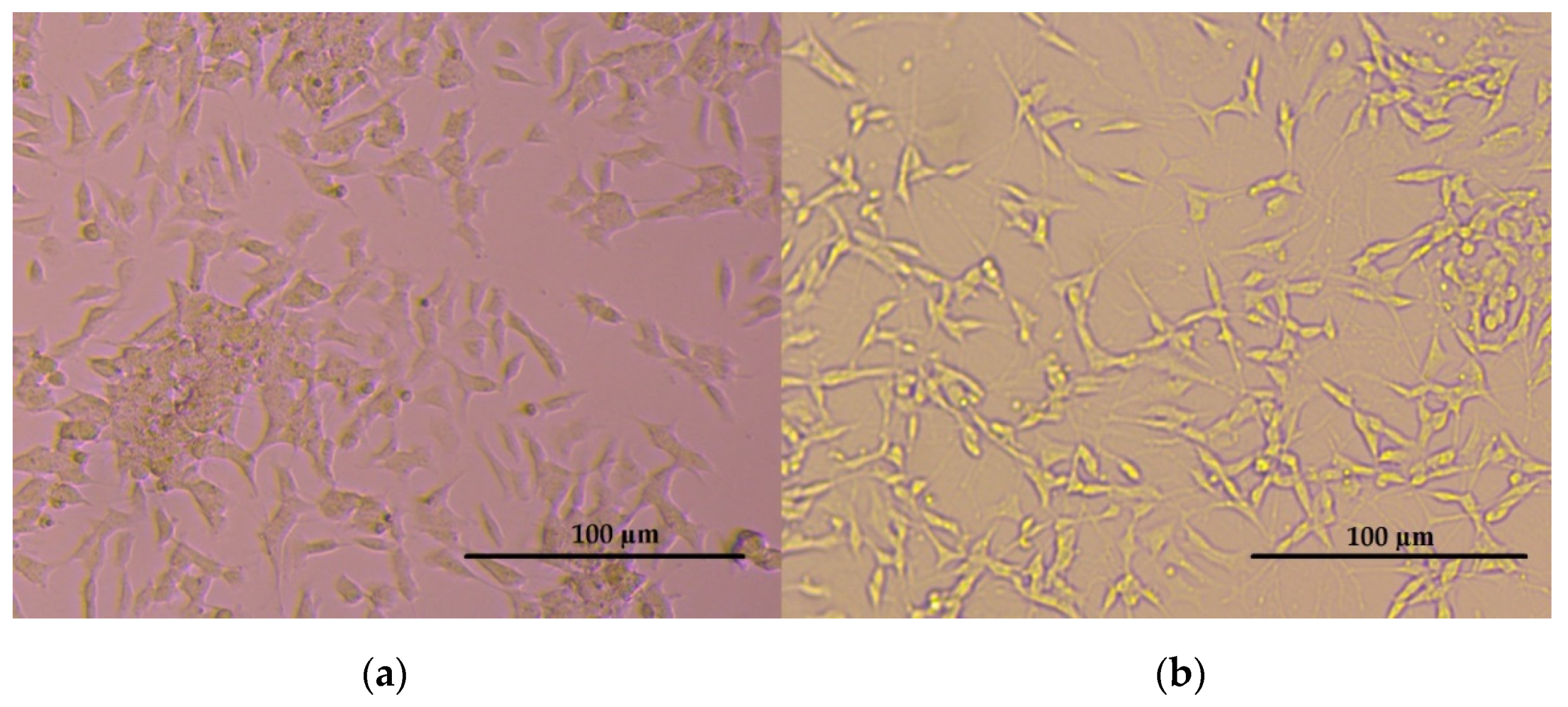 Nanomaterials 12 02690 g004