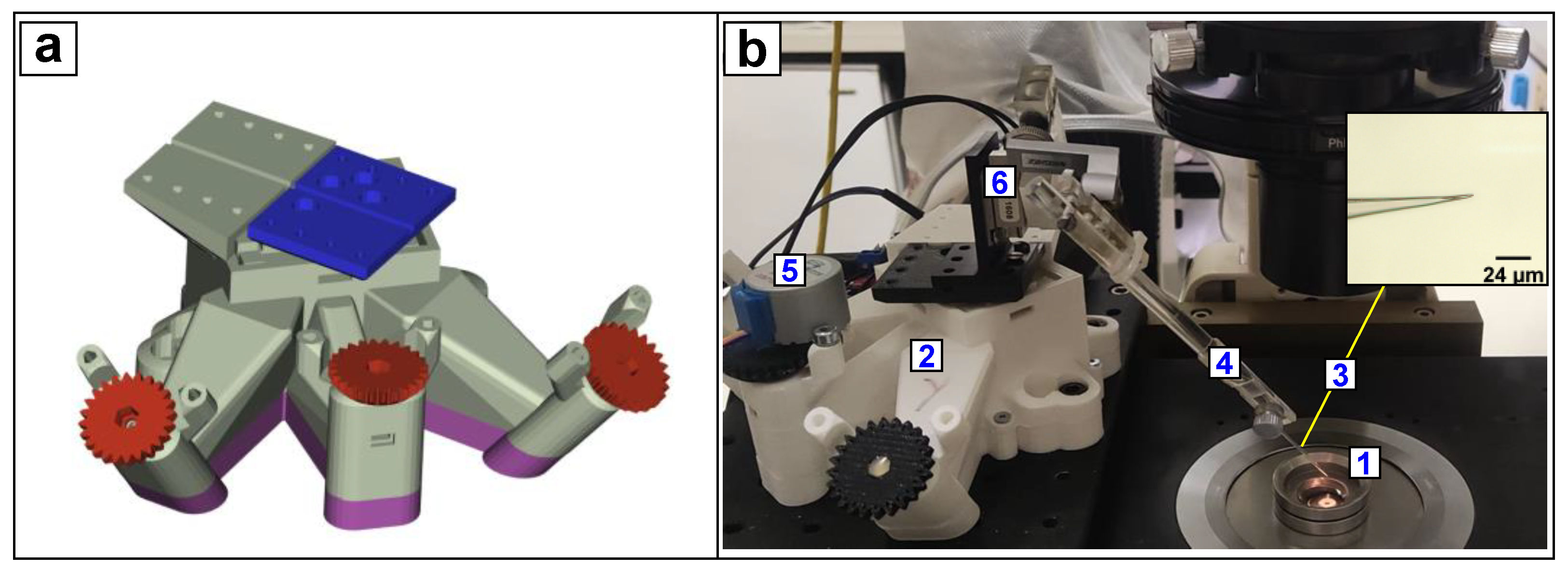 Nanomaterials 12 02691 g001 550