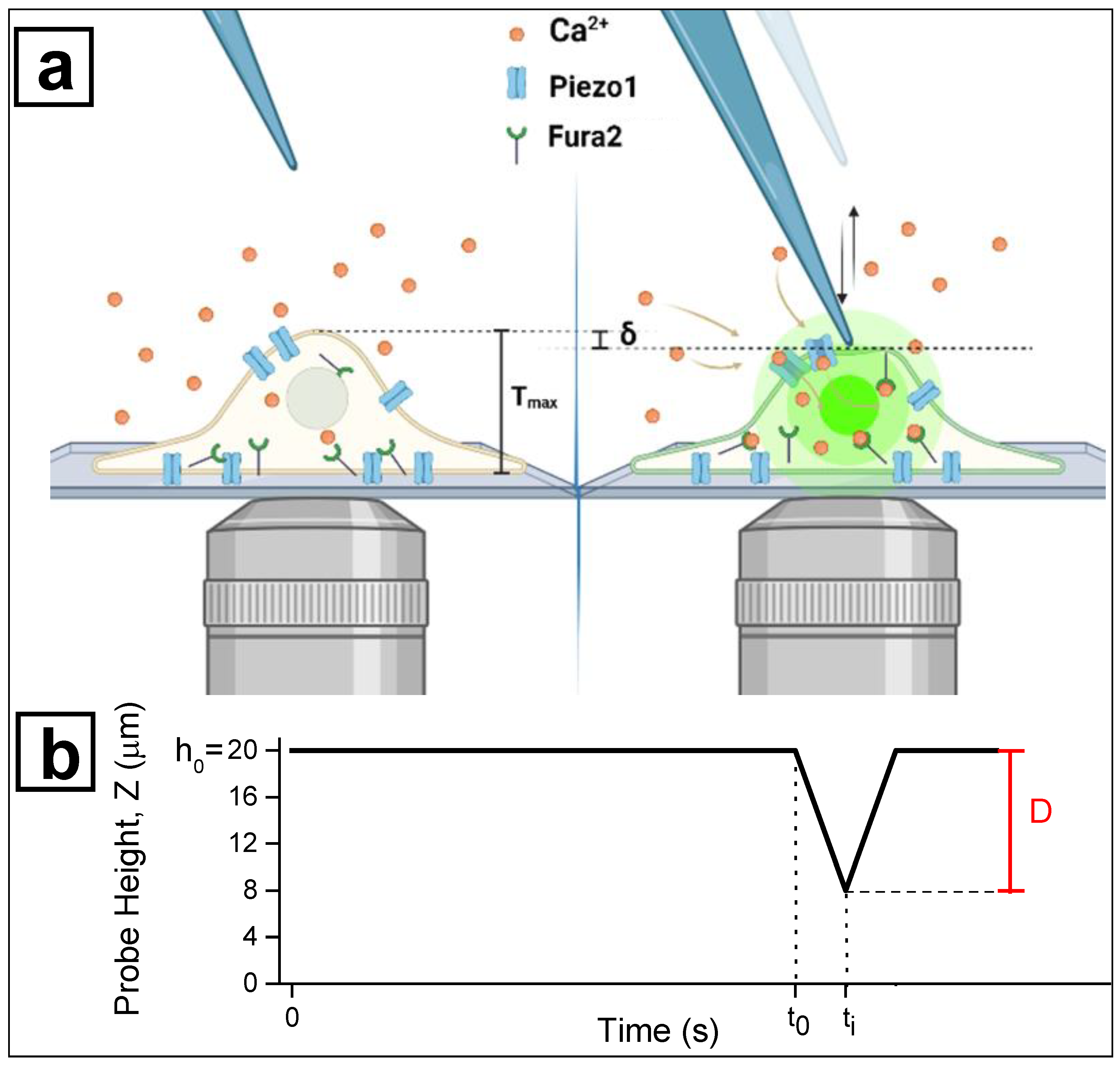 Nanomaterials 12 02691 g002 550