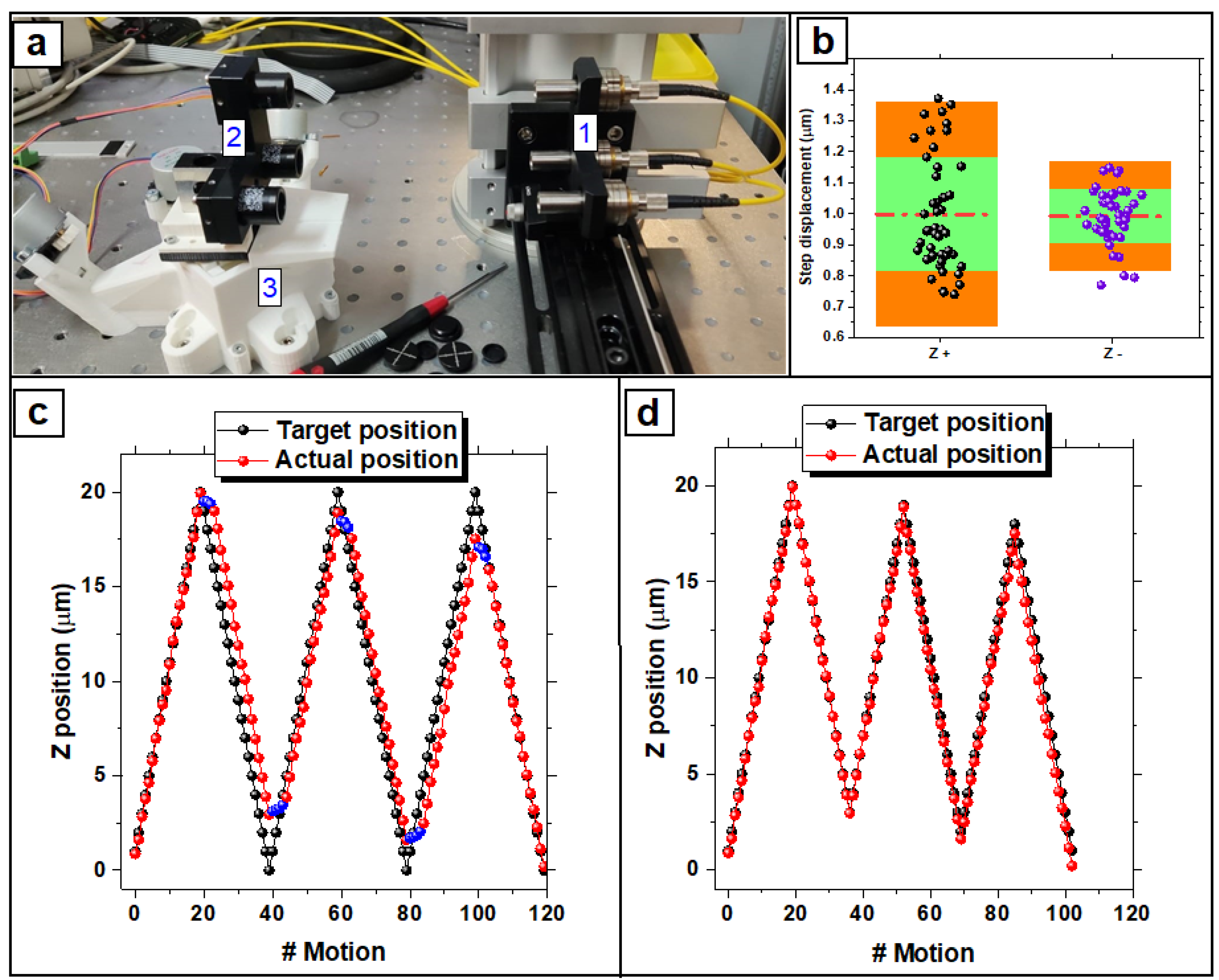 Nanomaterials 12 02691 g003 550