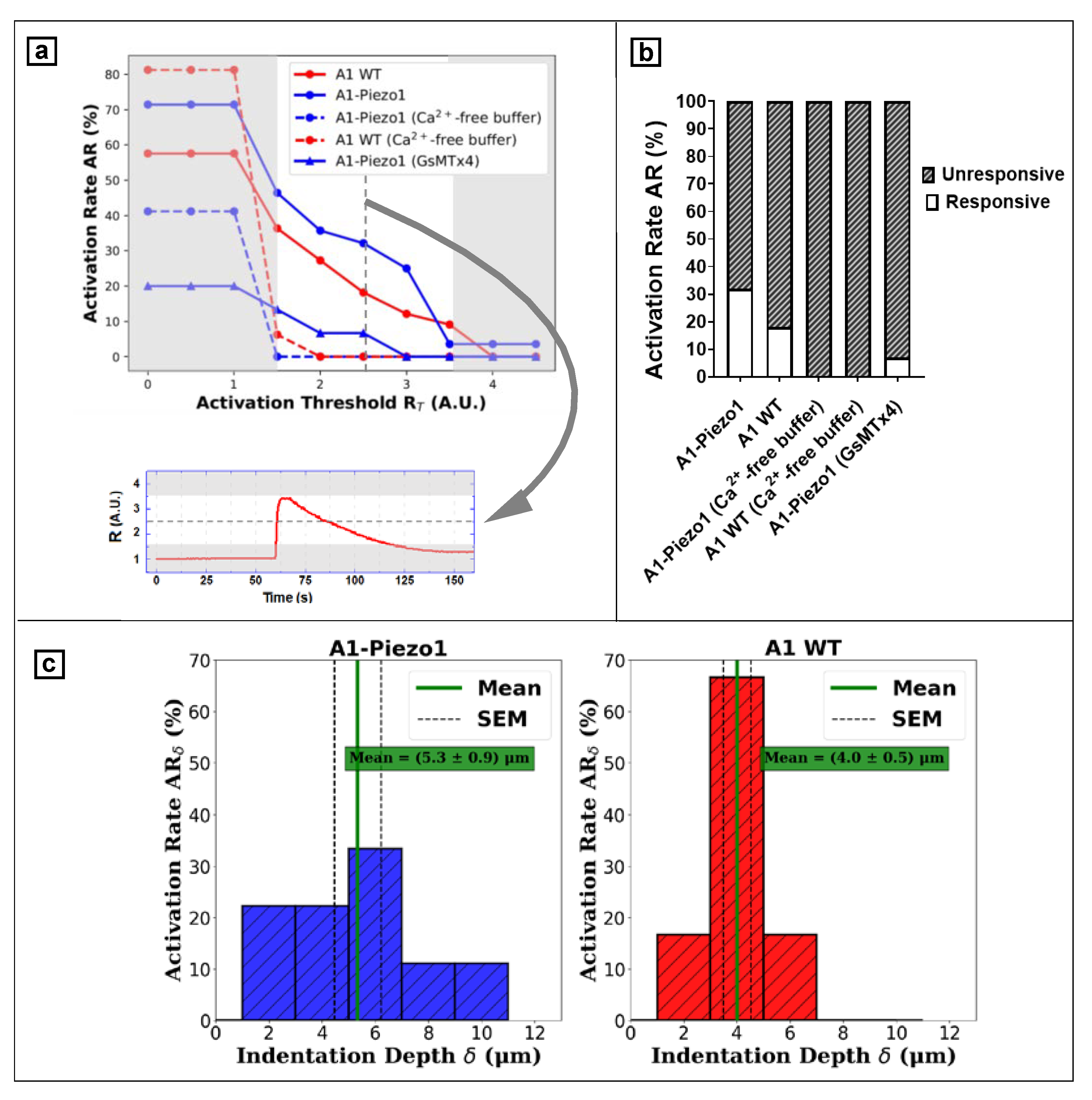 Nanomaterials 12 02691 g006 550