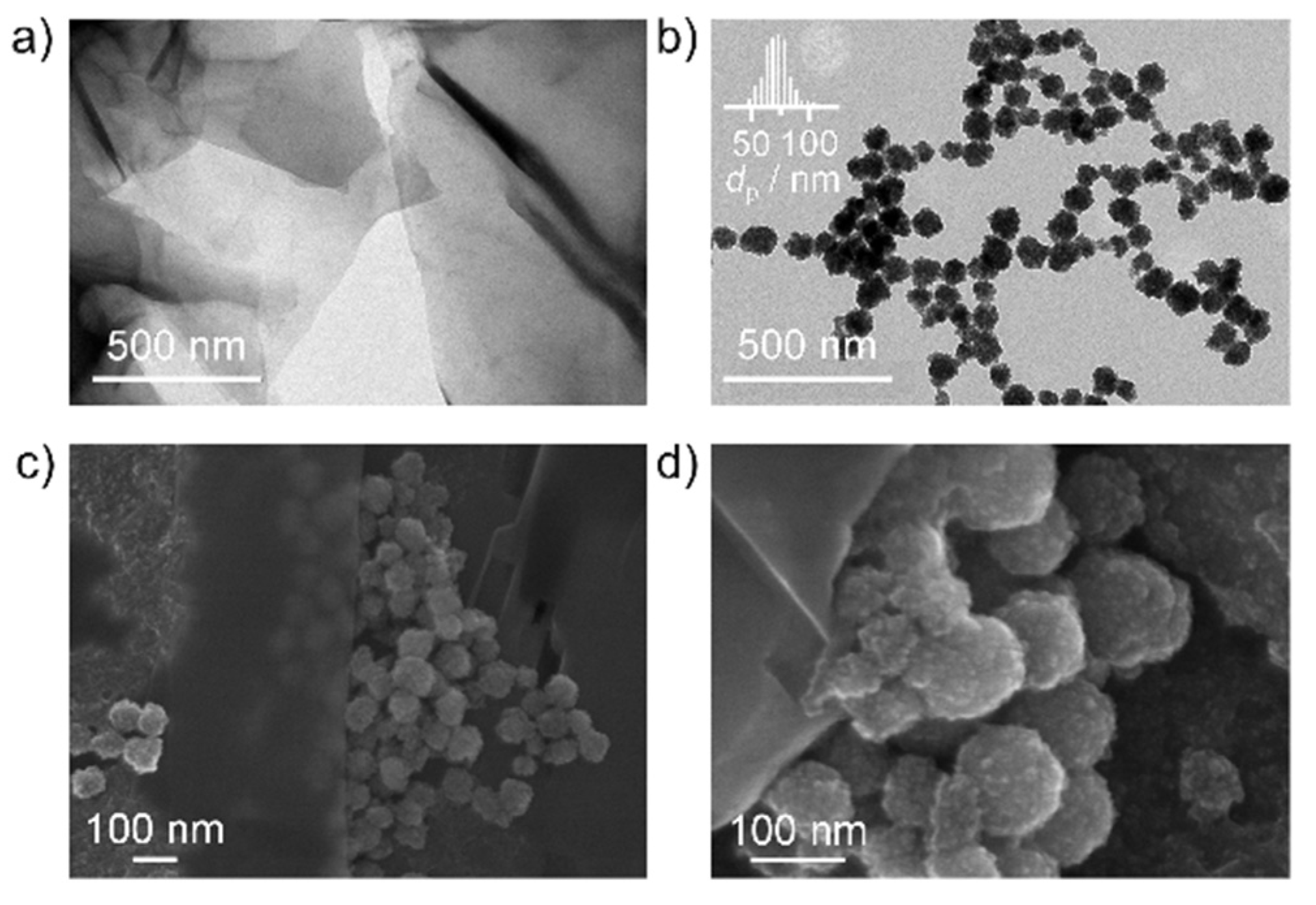 Nanomaterials 12 02695 g001