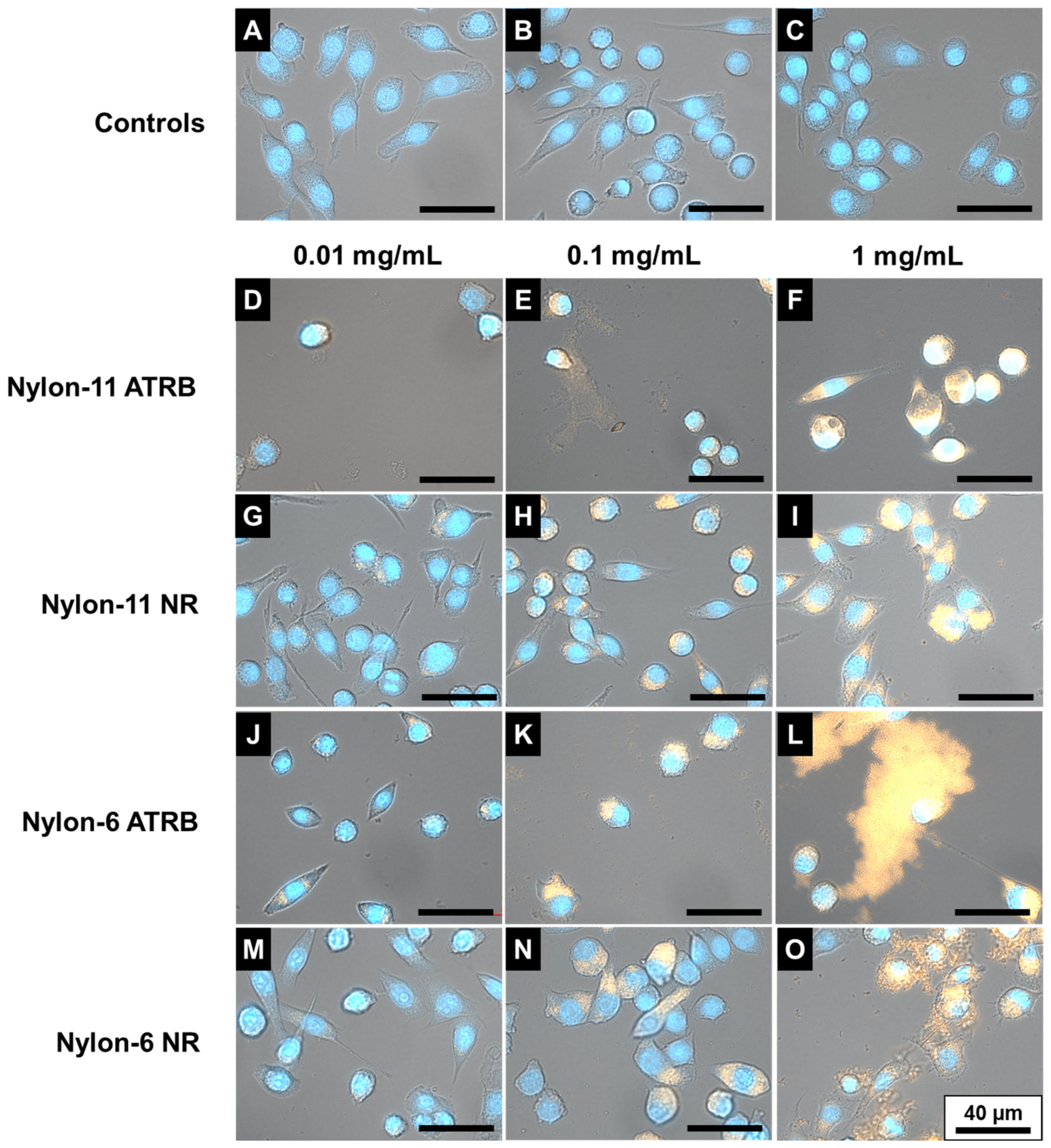 Nanomaterials 12 02699 g006 550