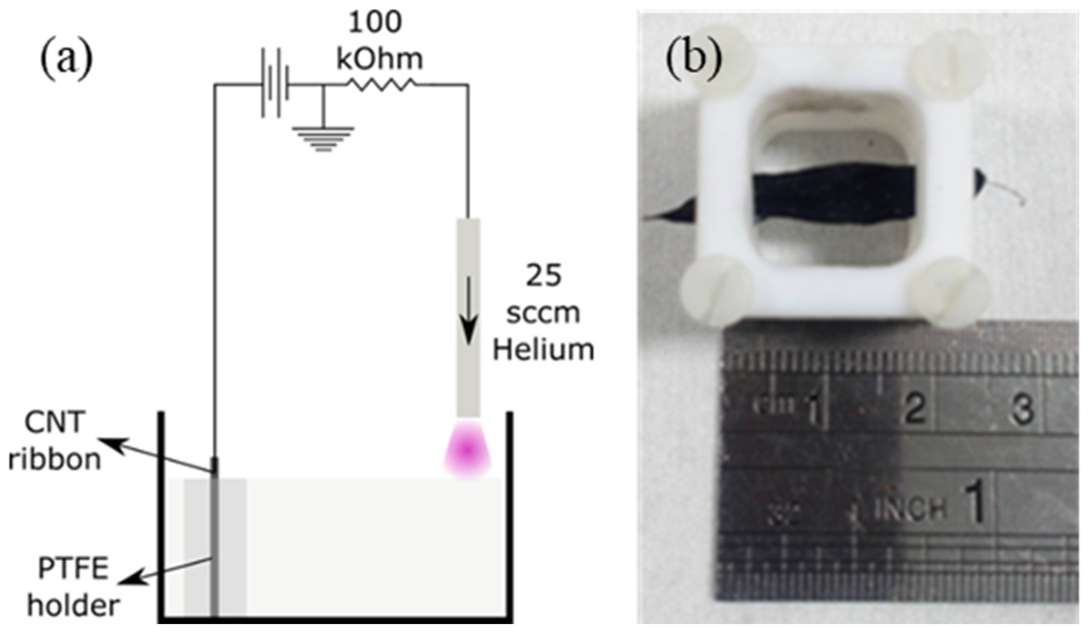 Nanomaterials 12 02705 g001