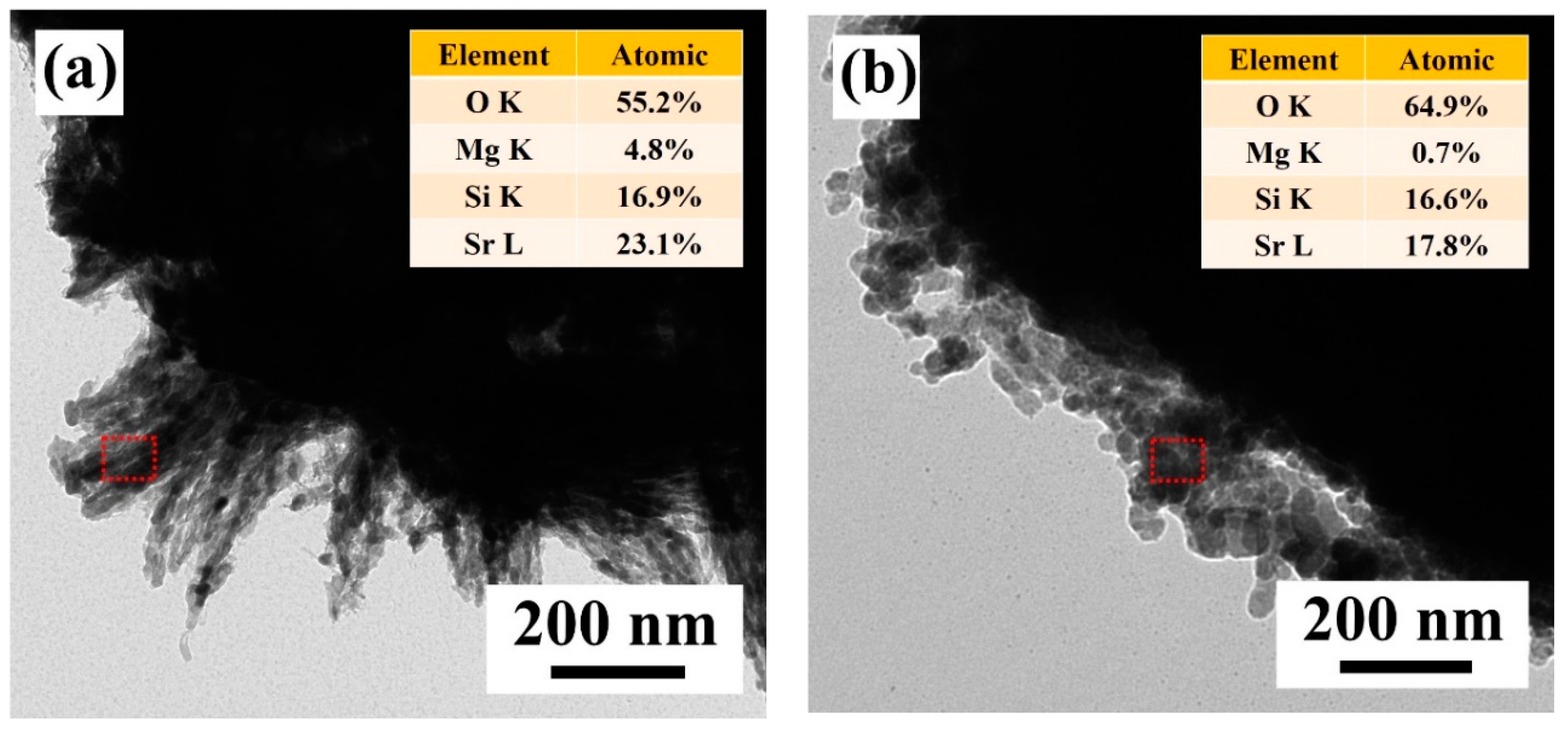Nanomaterials 12 02706 g004 550