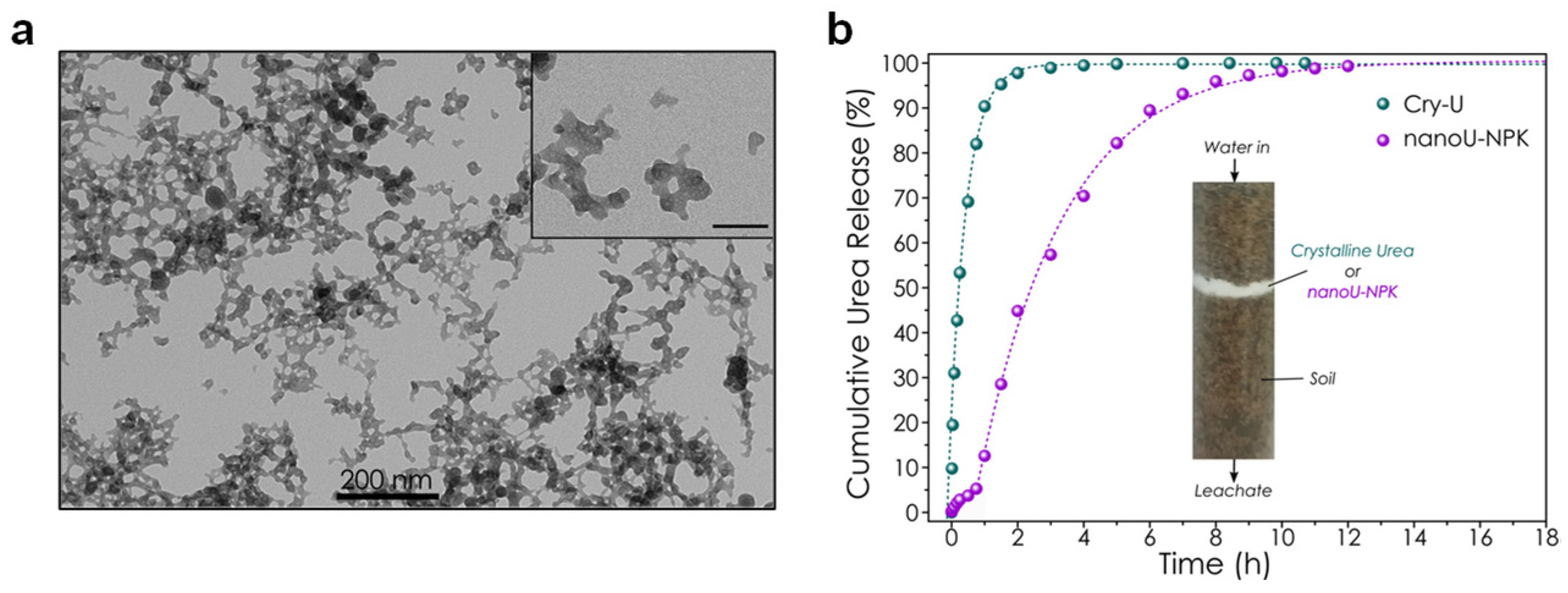 Nanomaterials 12 02709 g004