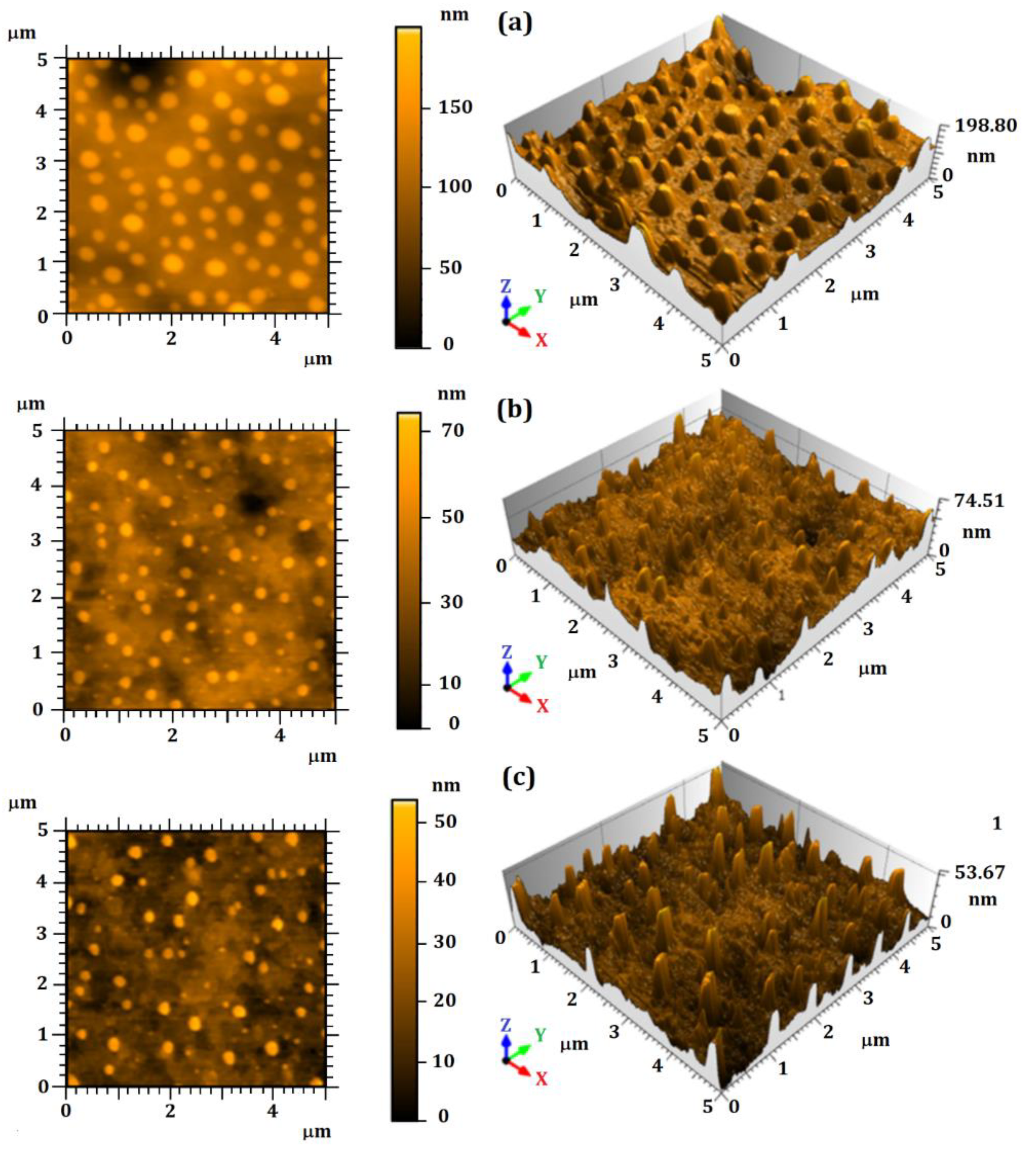 Nanomaterials 12 02712 g001