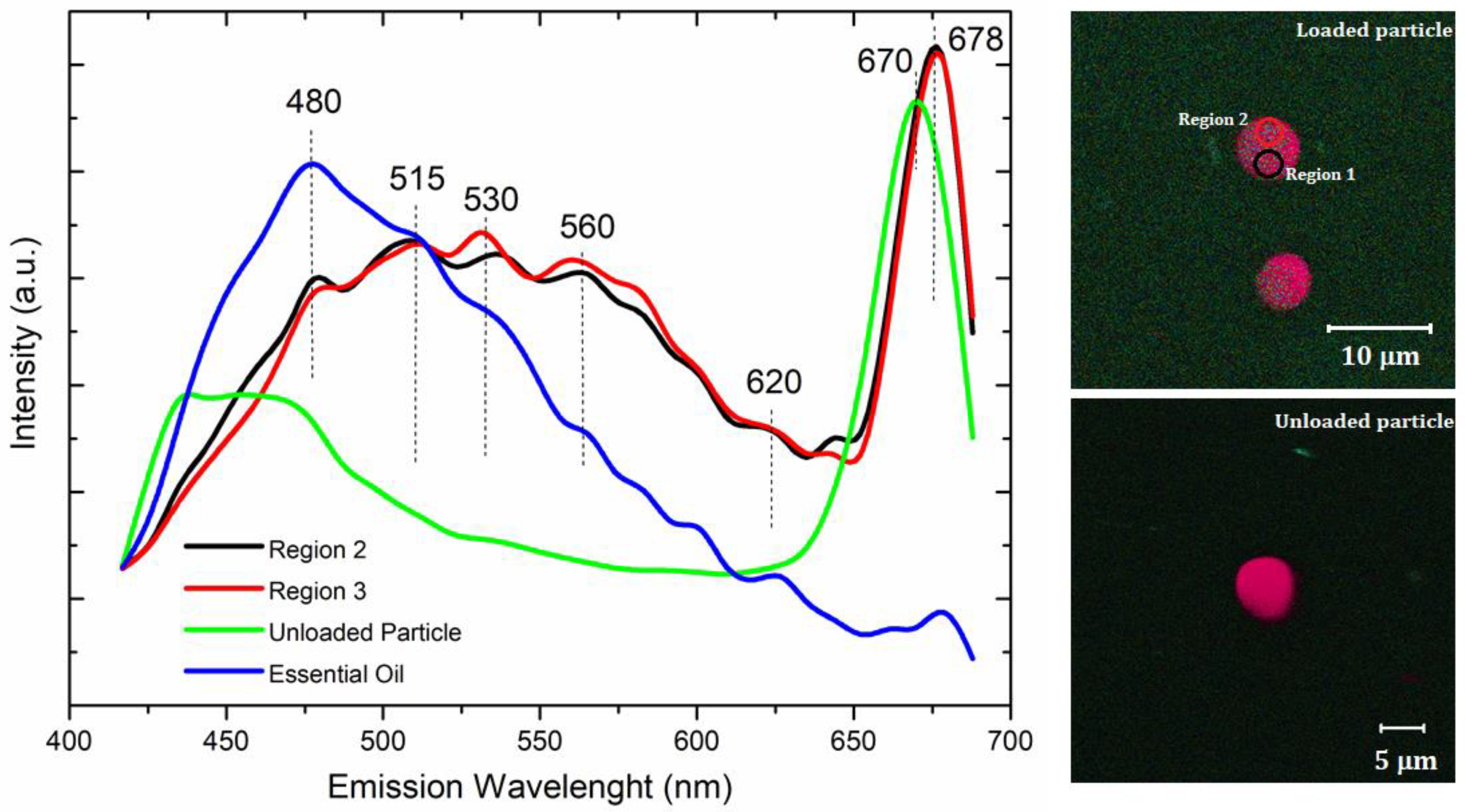 Nanomaterials 12 02712 g007