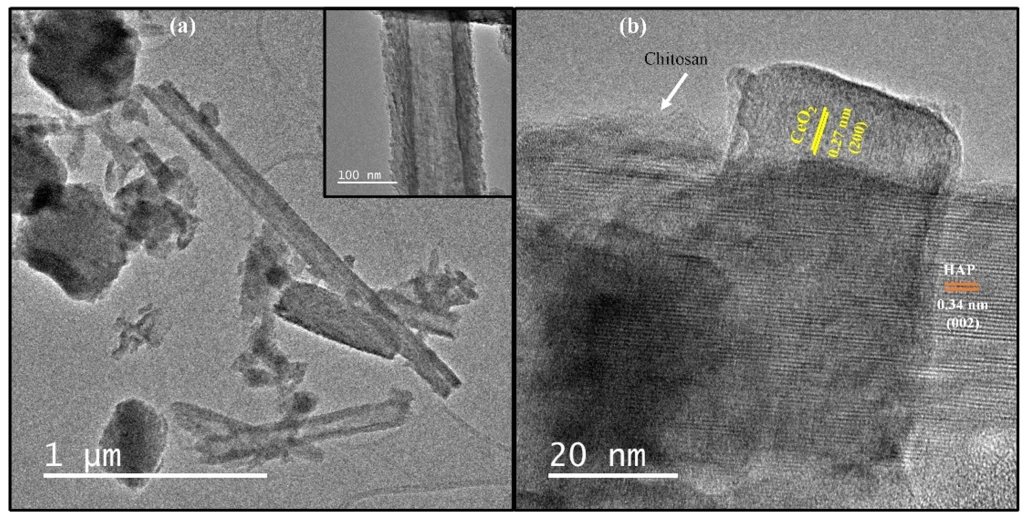 Nanomaterials 12 02713 g003 Nanomaterials 12 02713 g003