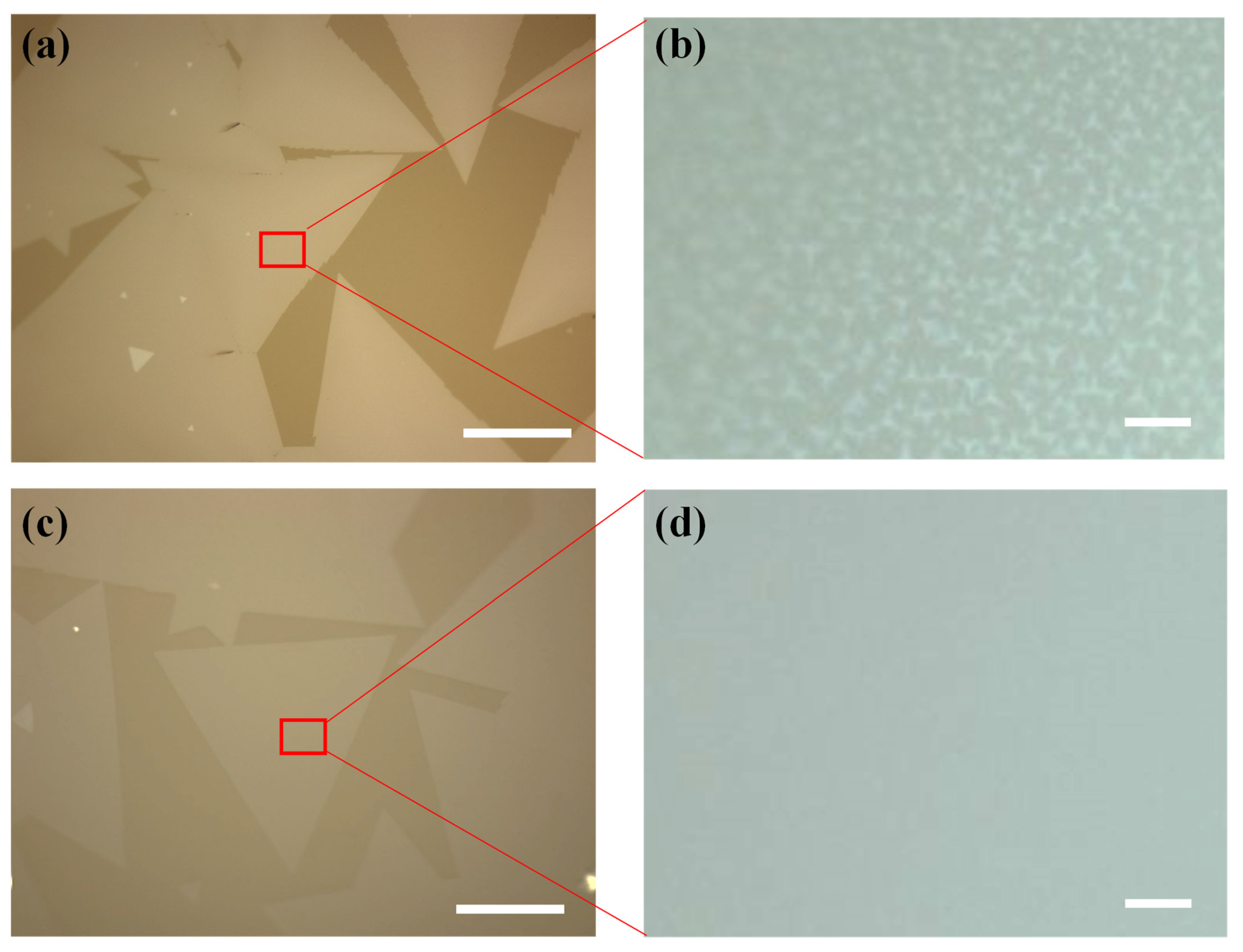 Nanomaterials 12 02719 g003 550