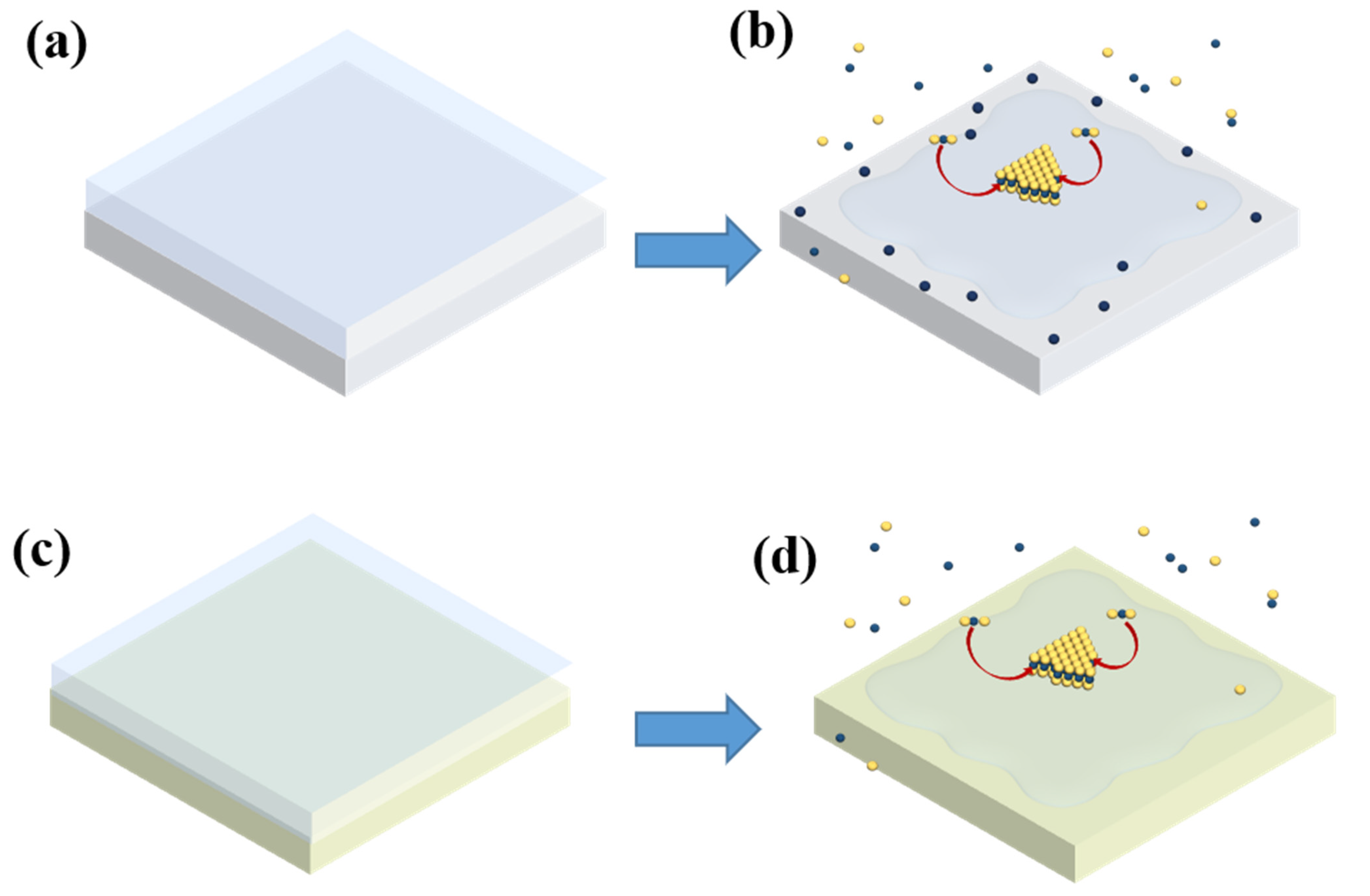 Nanomaterials 12 02719 g005 550