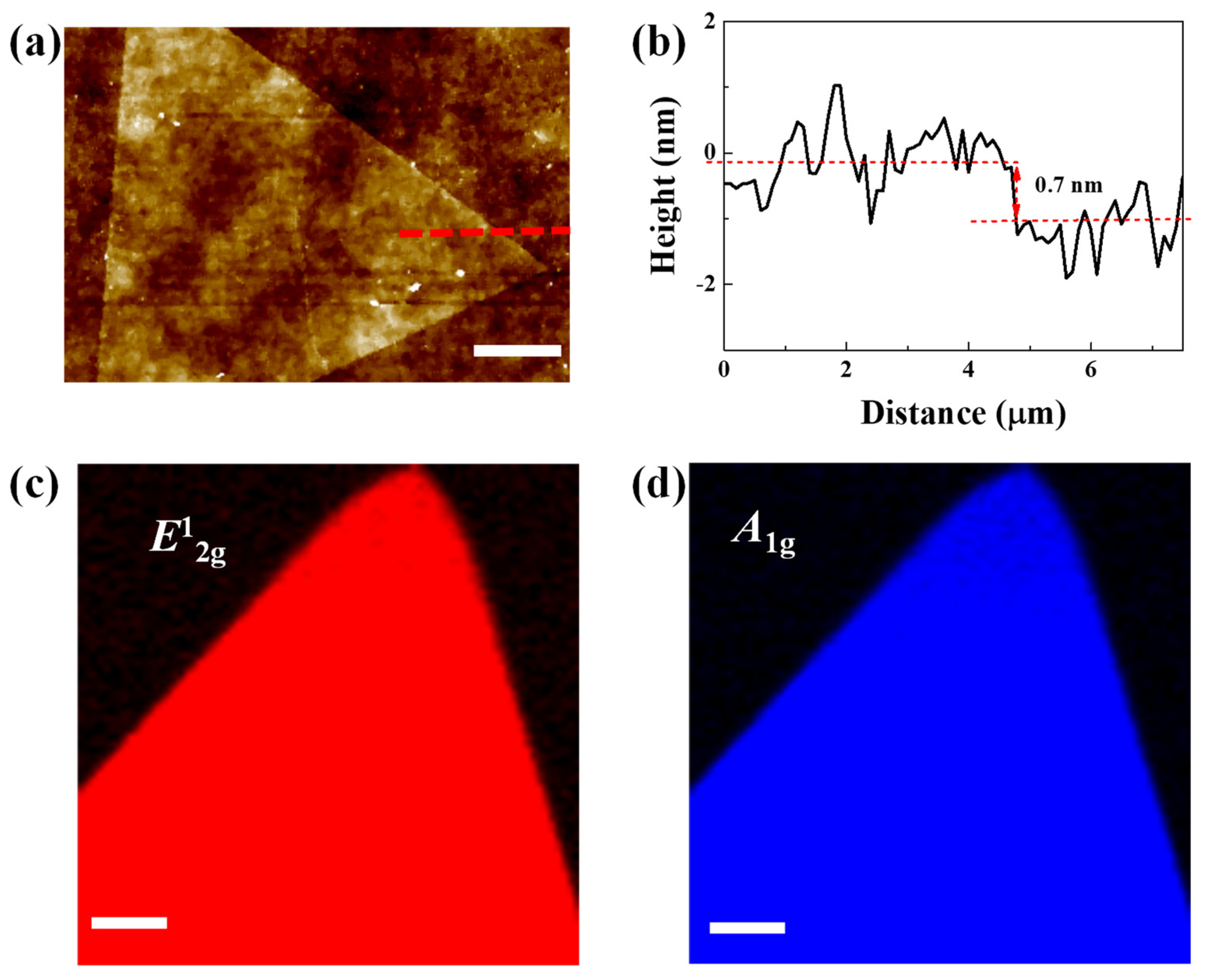 Nanomaterials 12 02719 g007 550