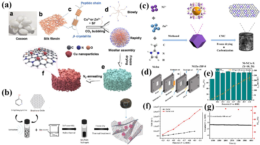 Nanomaterials 12 02721 g005 550