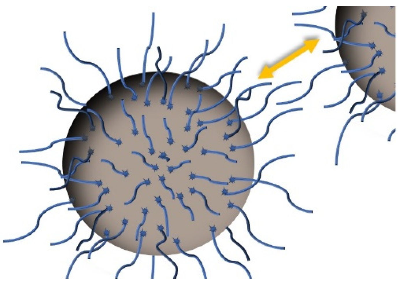Nanomaterials 12 02723 g002