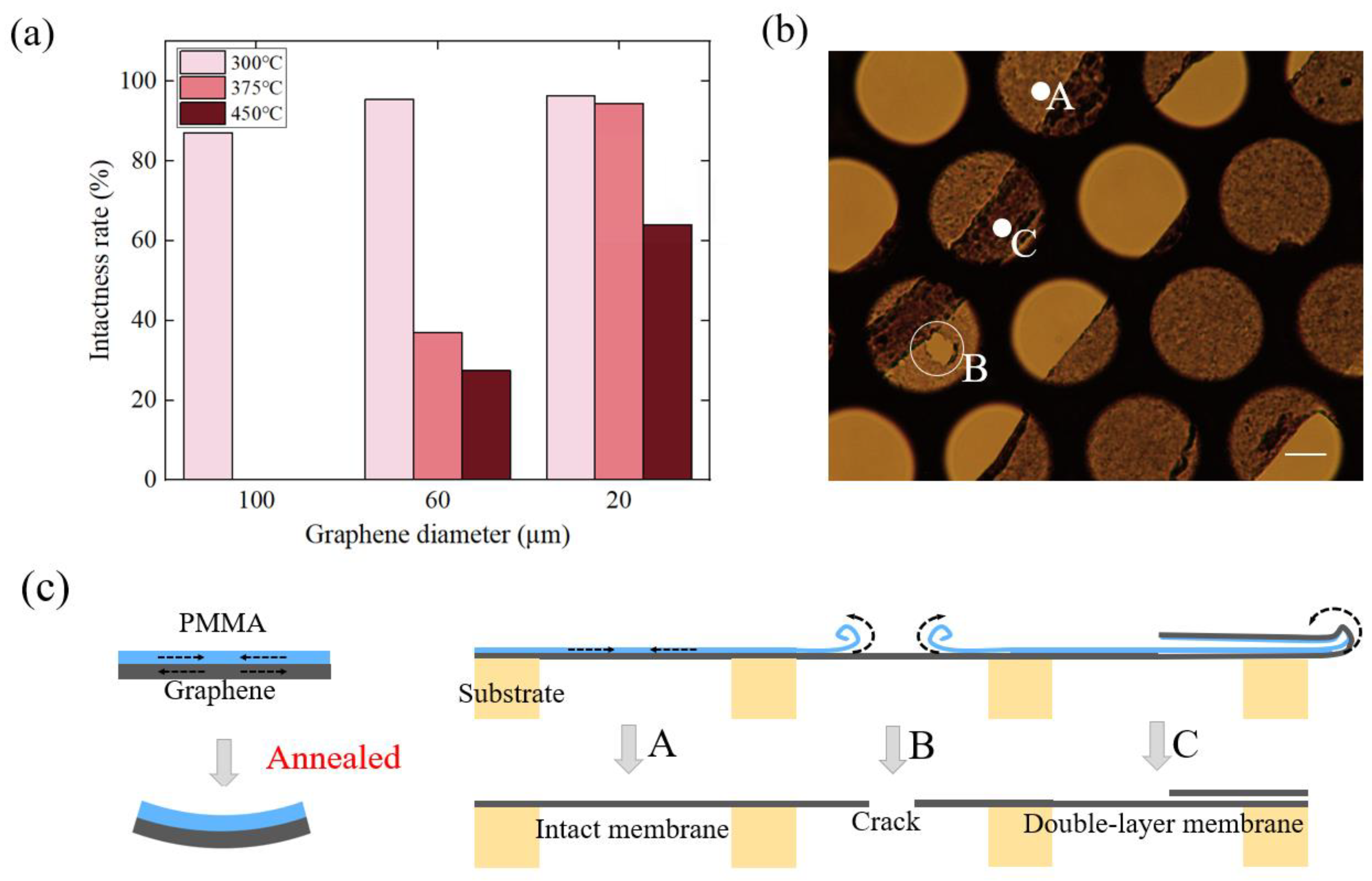 Nanomaterials 12 02725 g002 550