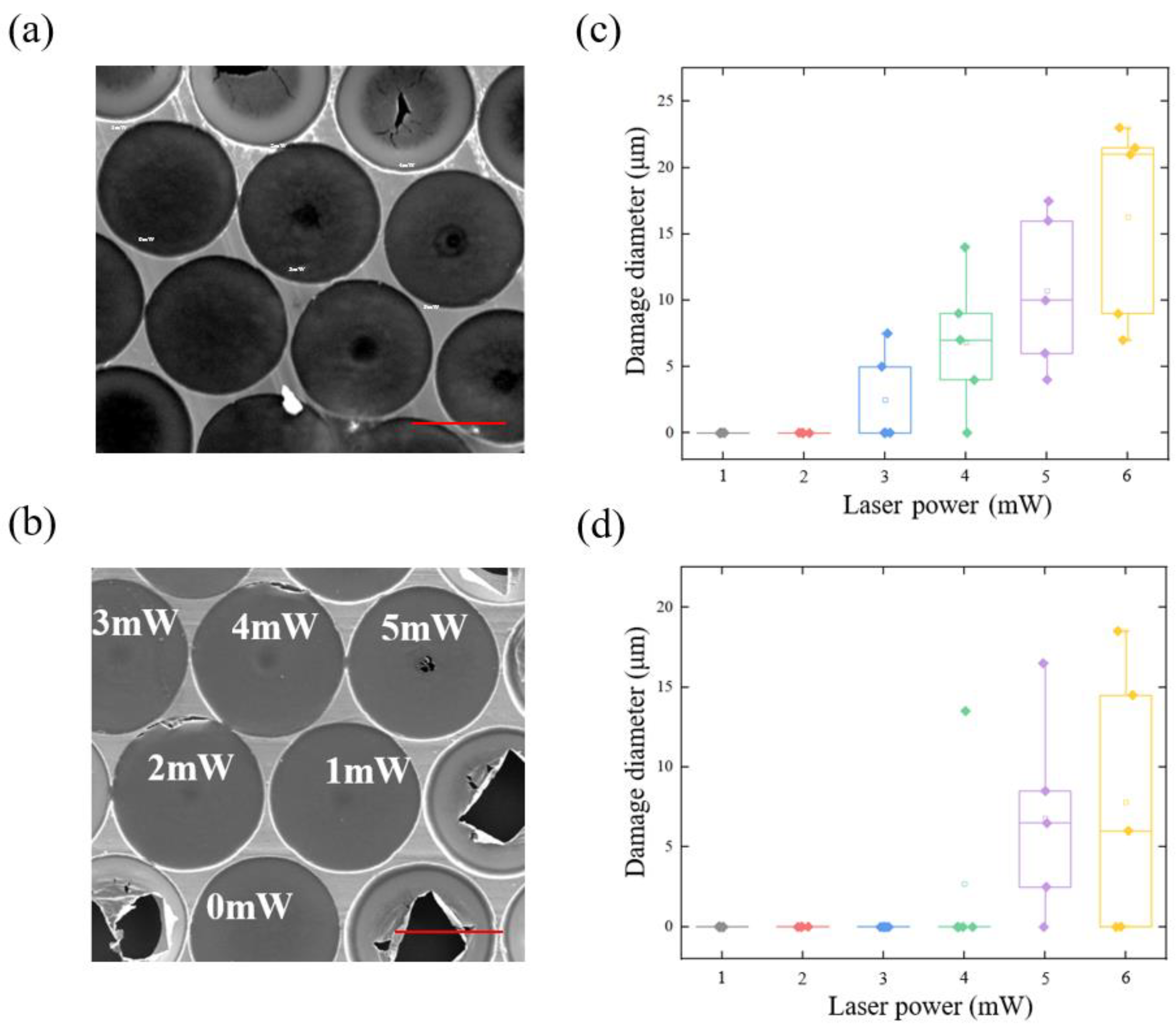 Nanomaterials 12 02725 g005 550
