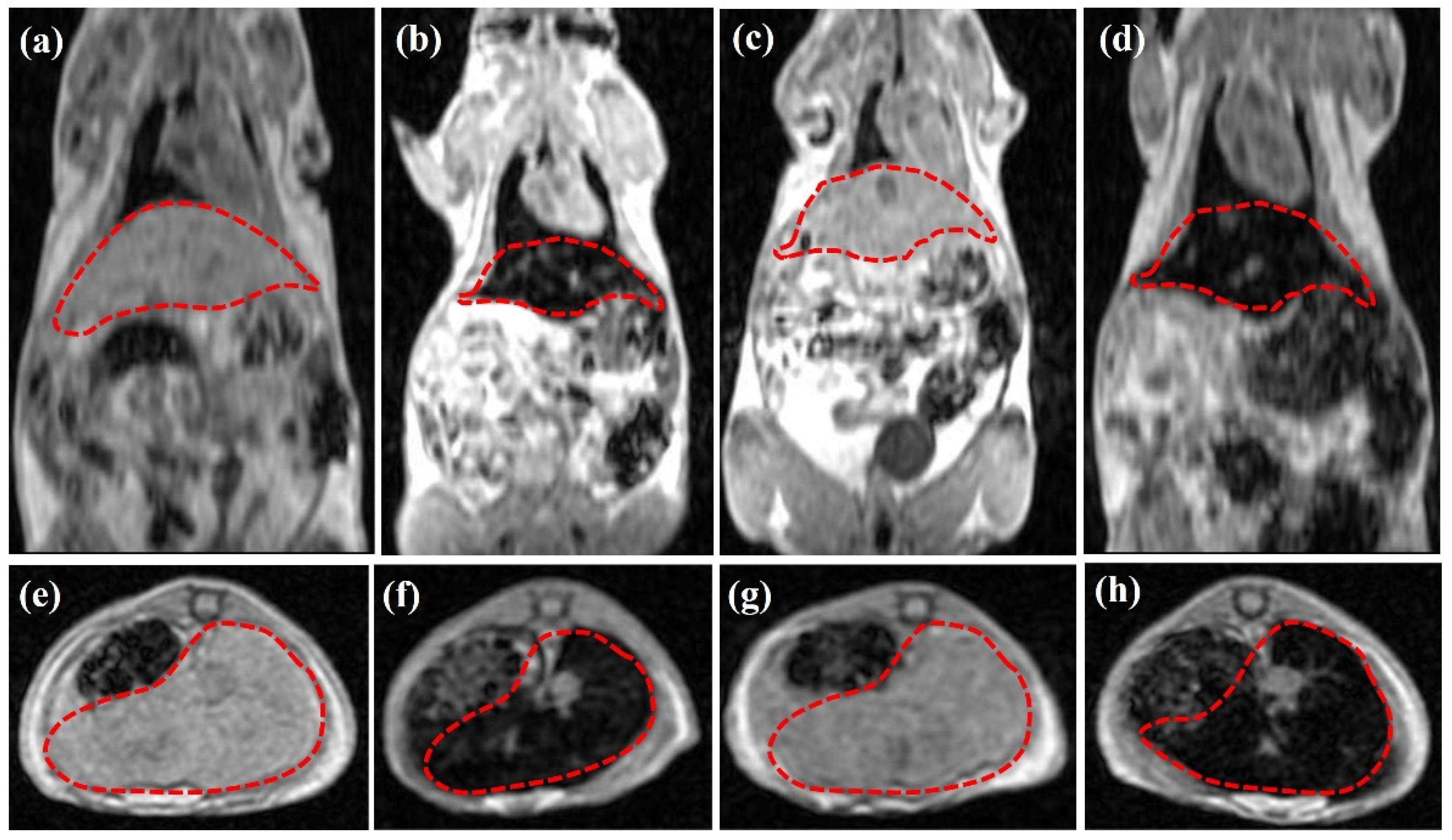 Nanomaterials 12 02728 g003 Nanomaterials 12 02728 g003