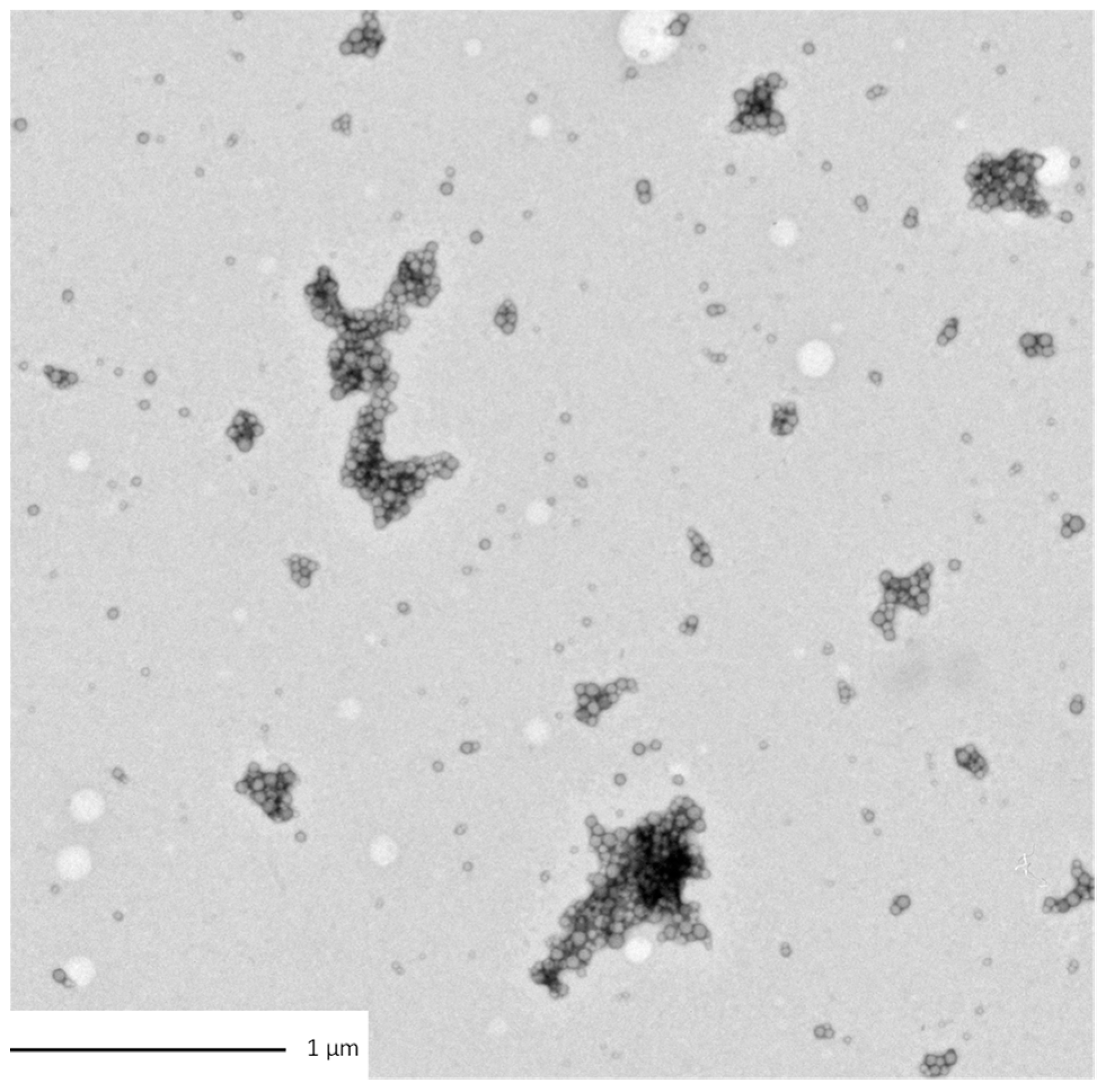 Nanomaterials 12 02730 g001